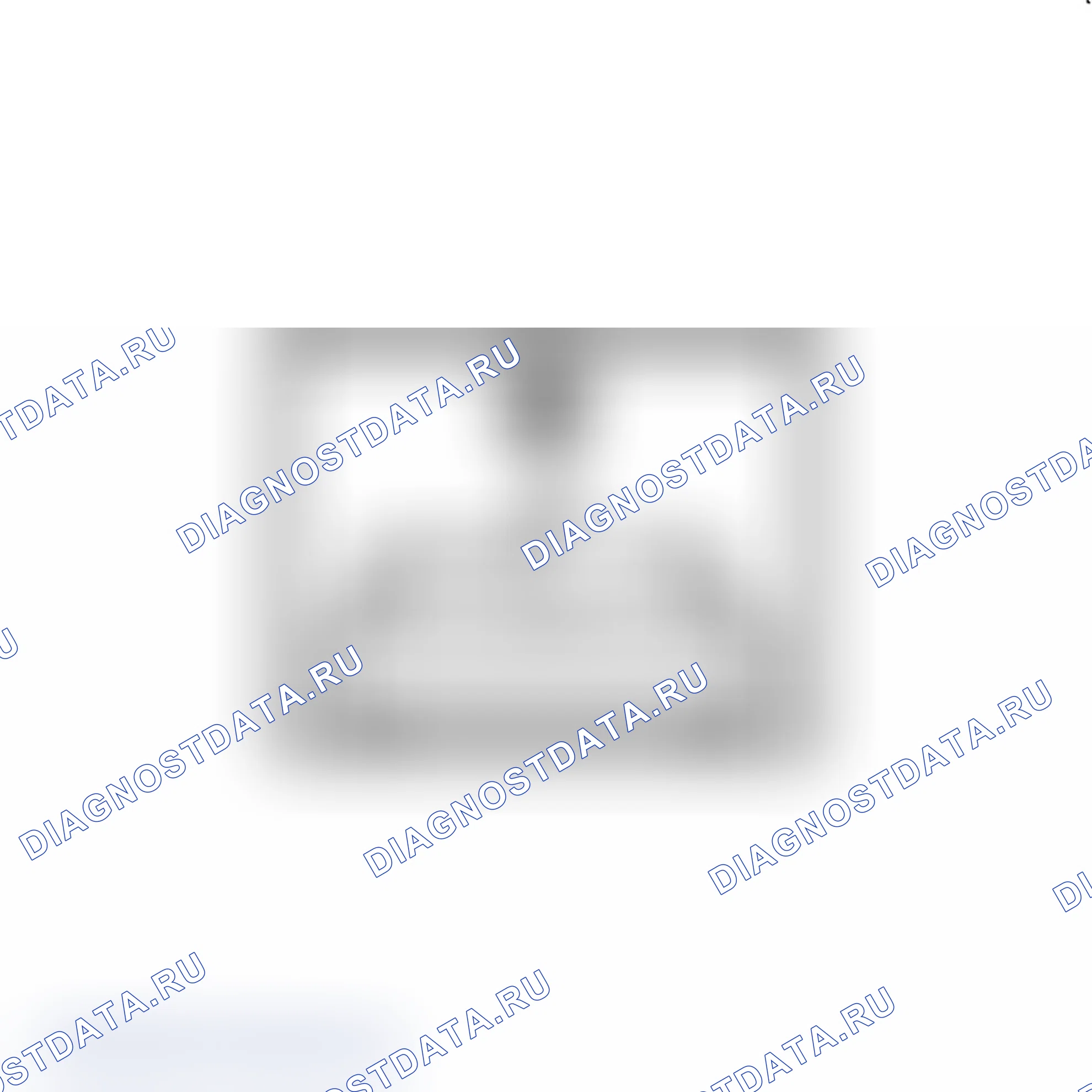 Рис. 154. Chevrolet Express G1500 