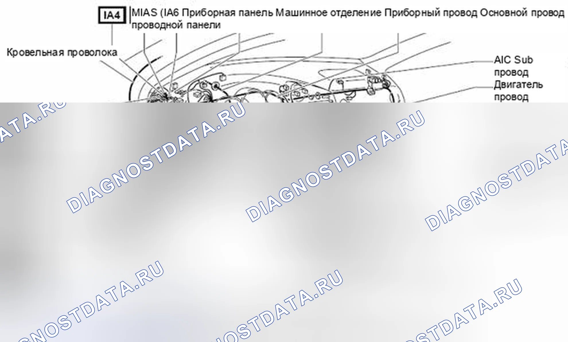 Рис. 391: Фильтр шума (зажигание № 2) Вид с торца разъема (N 2). Toyota 4Runner IV рестайлинг