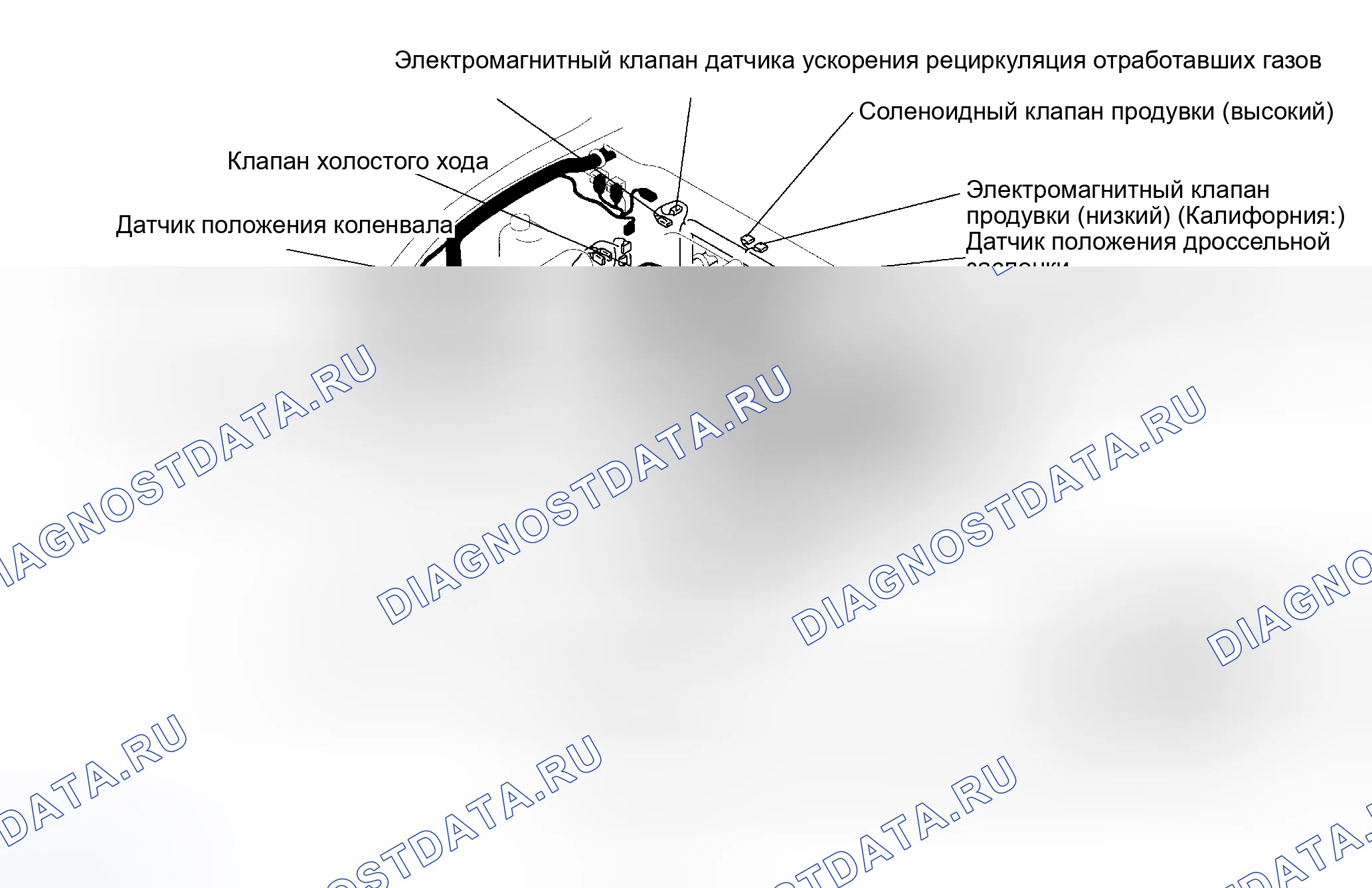 Рис. 4: Расположение компонентов (4 из 5). Mazda Protege BH