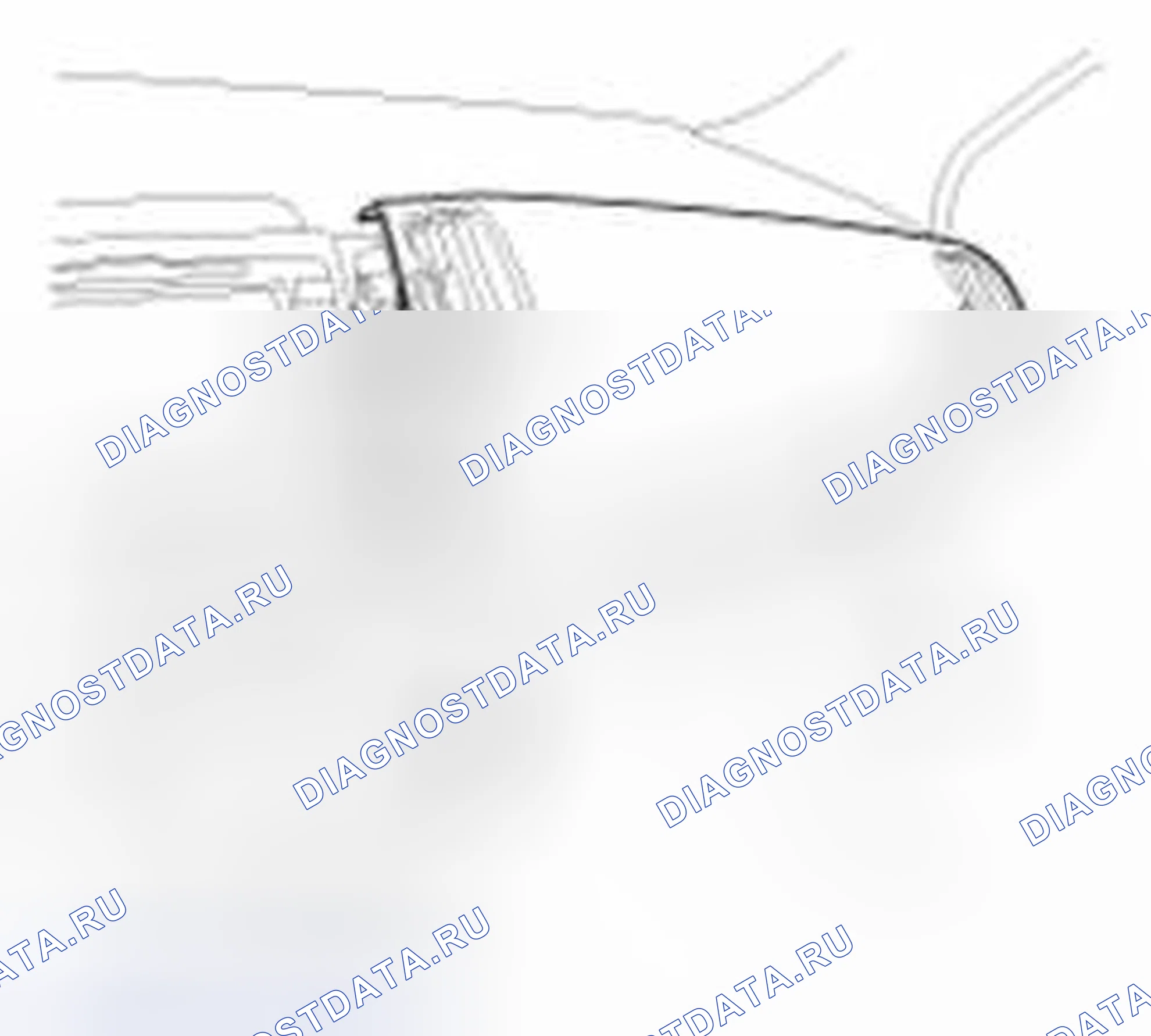 Рис. 85. Haval Beast (Shenshou) I