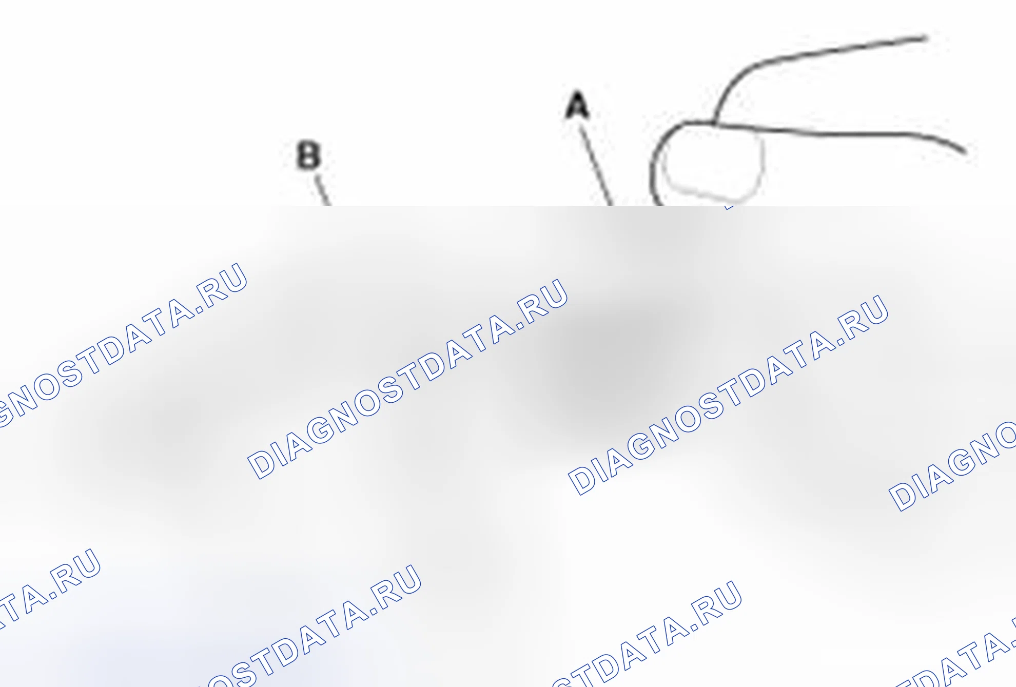 Рис. 8. Kia Sedona II рестайлинг