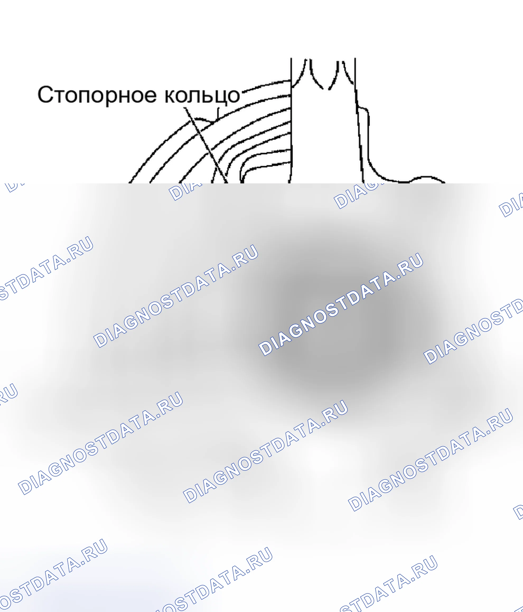 Рис. 9. Nissan Altima L31