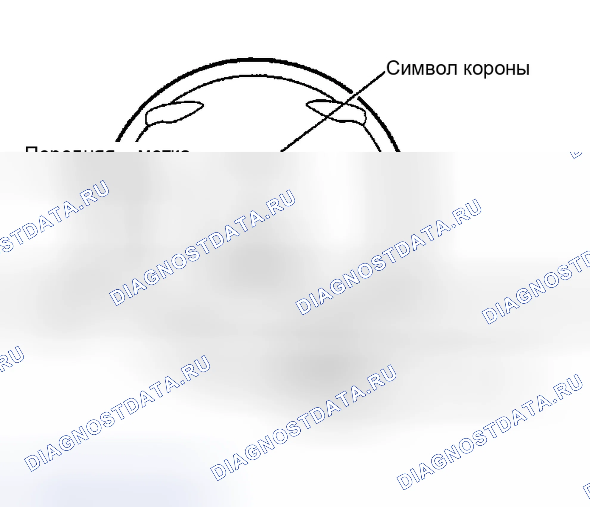 Рис. 238. Nissan Sentra B15