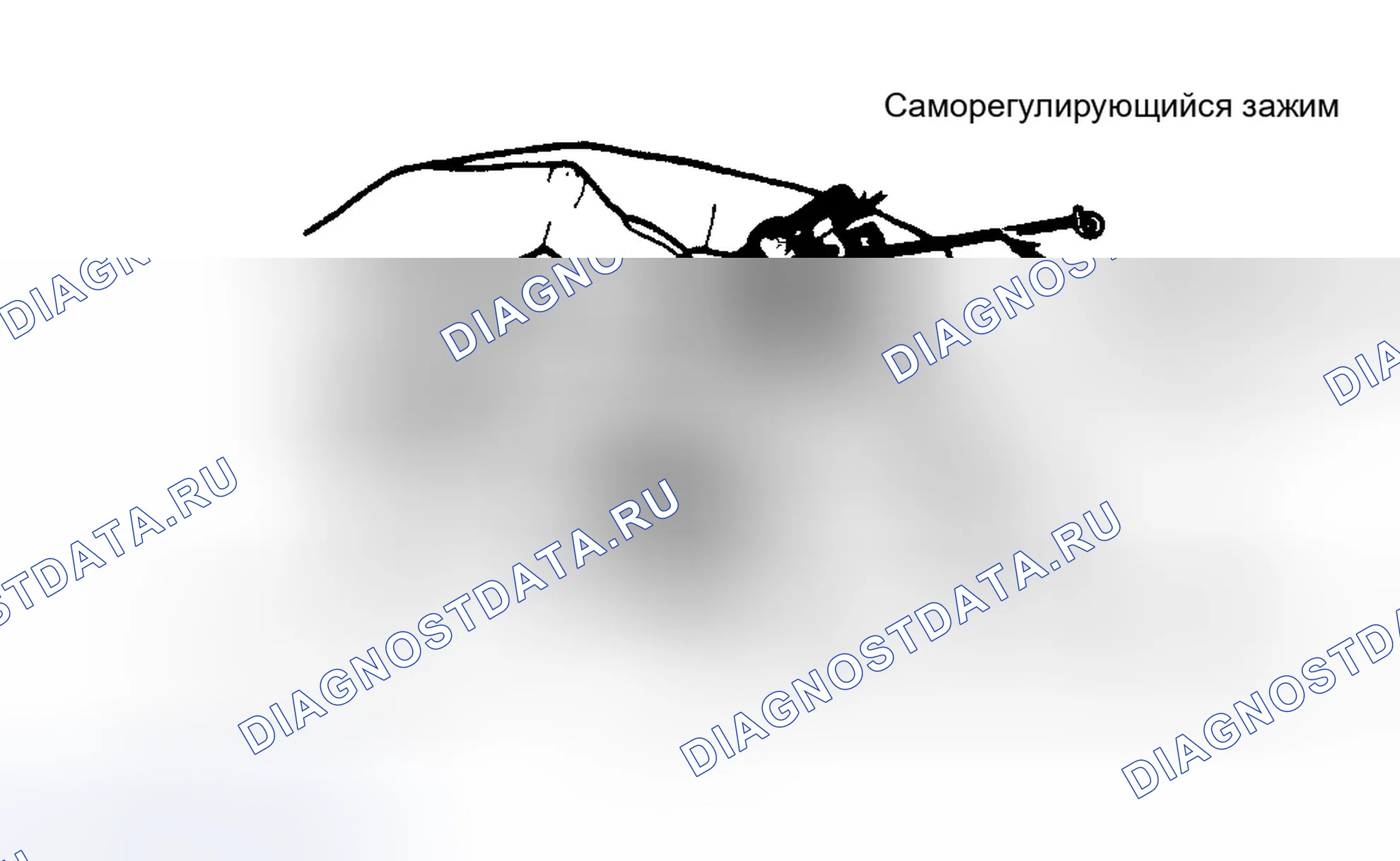 Рис. 14. Dodge Dakota WS 