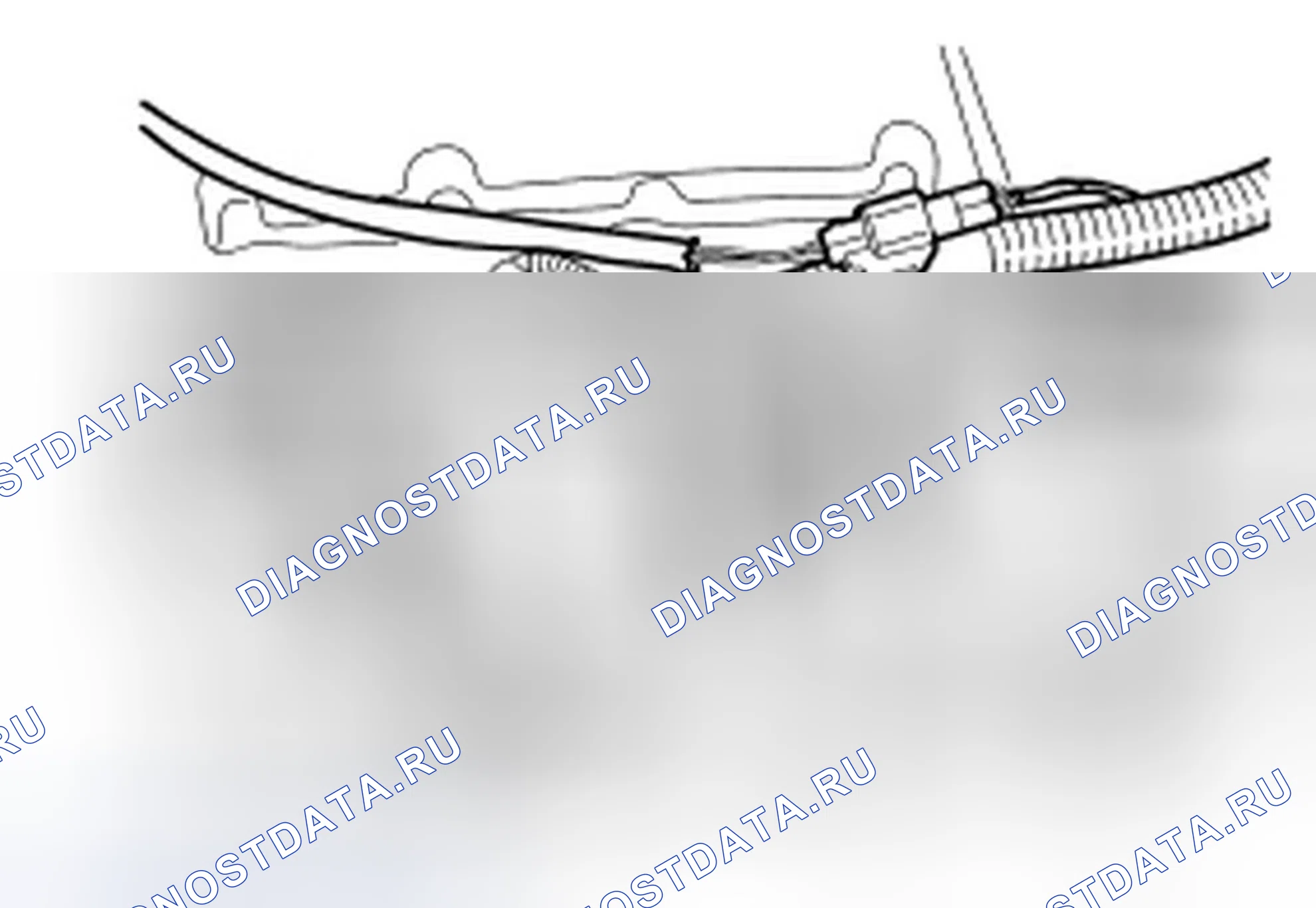 Рис. 421. Ford Mustang V