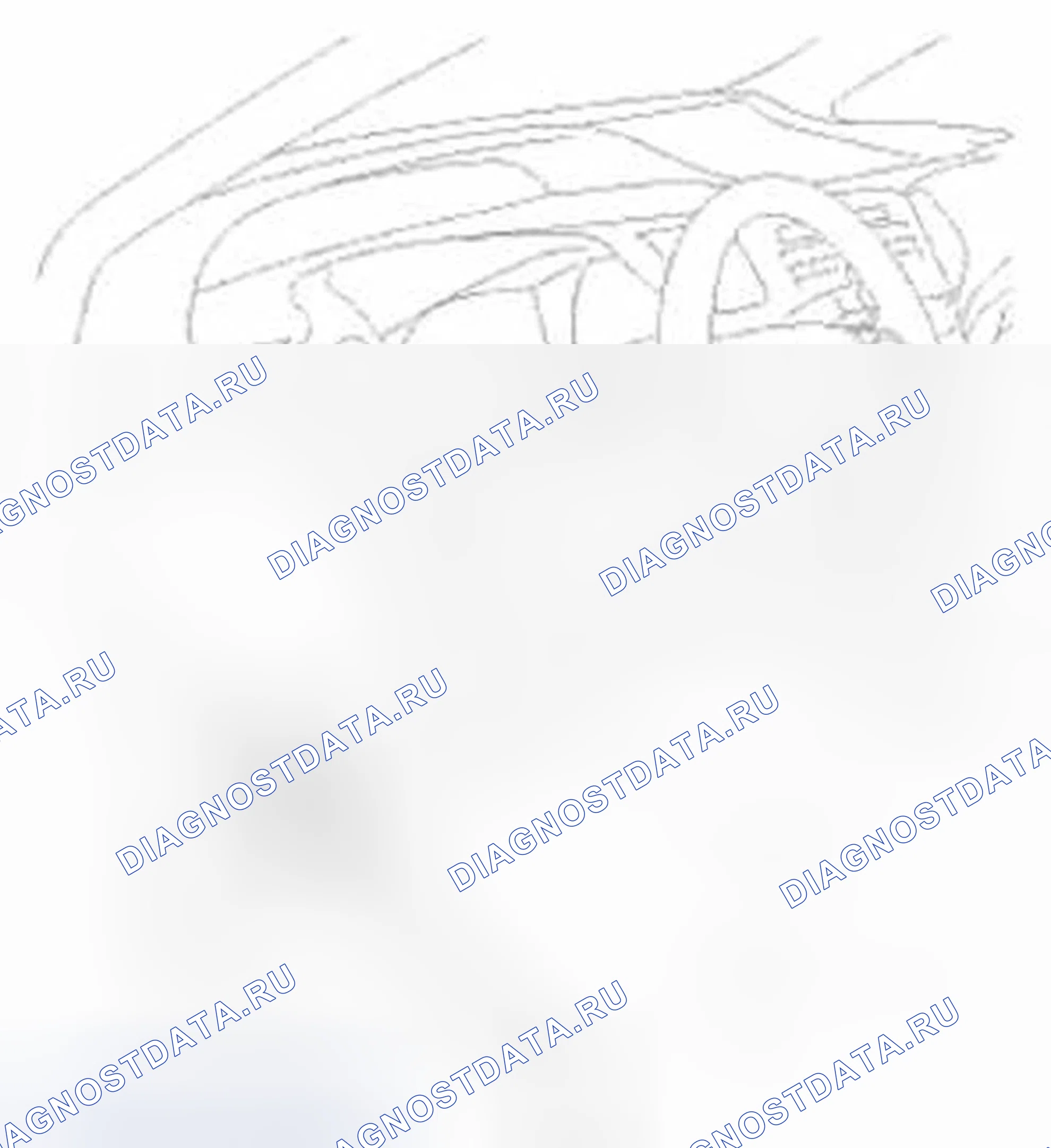 Рис. 71: Испытание. Honda Civic IX