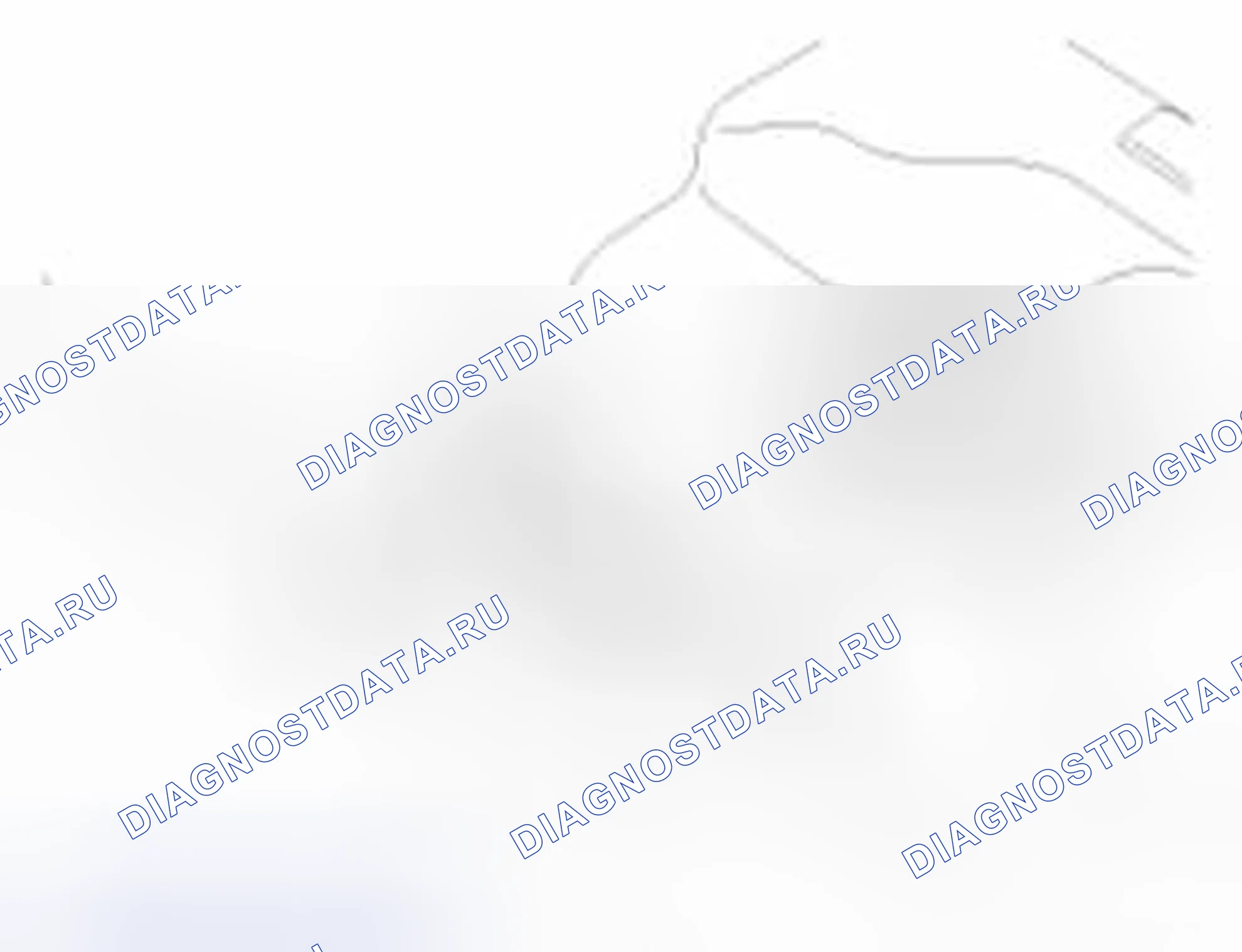 Рис. 98. Haval Beast (Shenshou) I