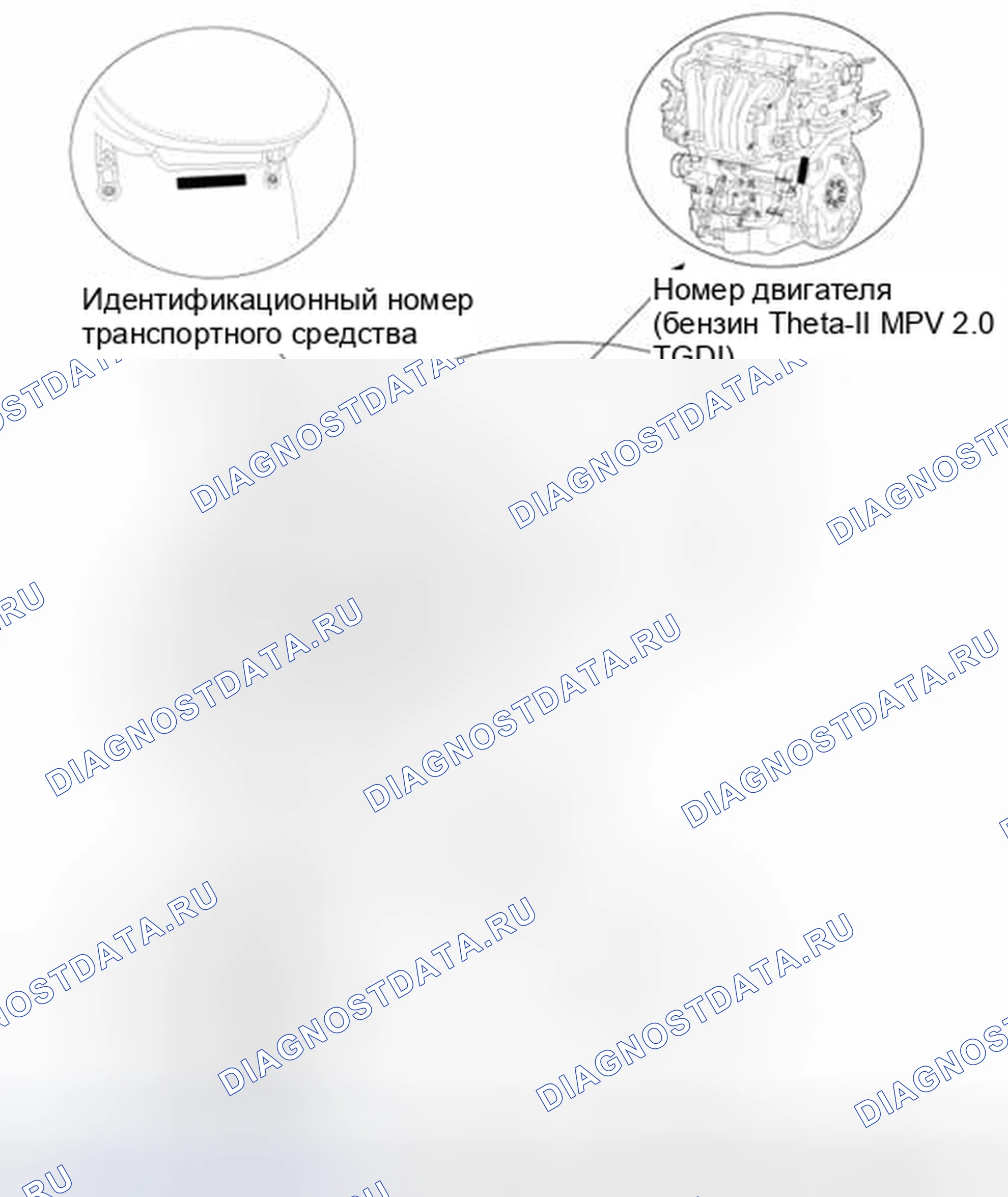 Рис. 5: Расположение идентификационных номеров. Haval Beast (Shenshou) I
