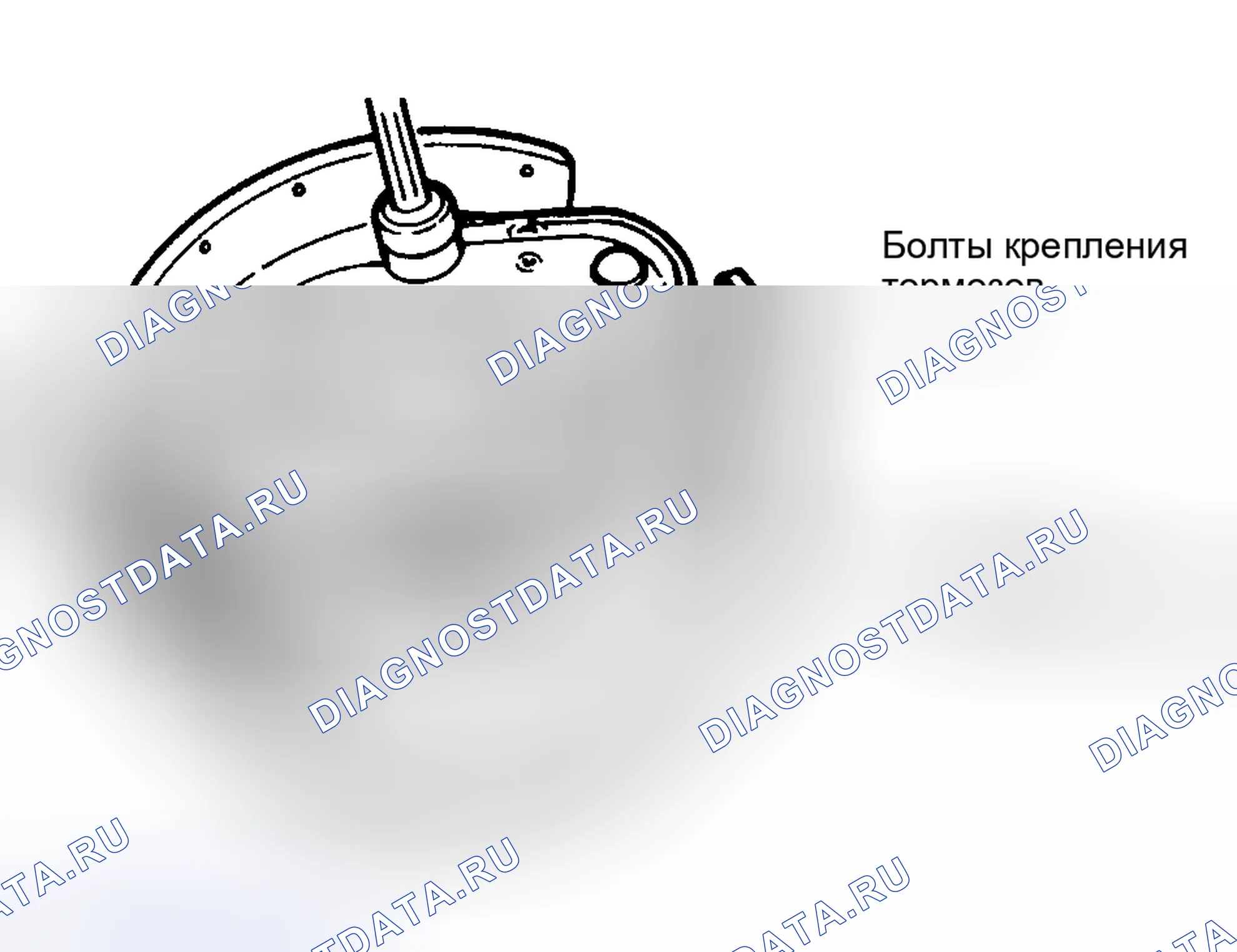 Рис. 18. Ford Cab & Chassis F350 