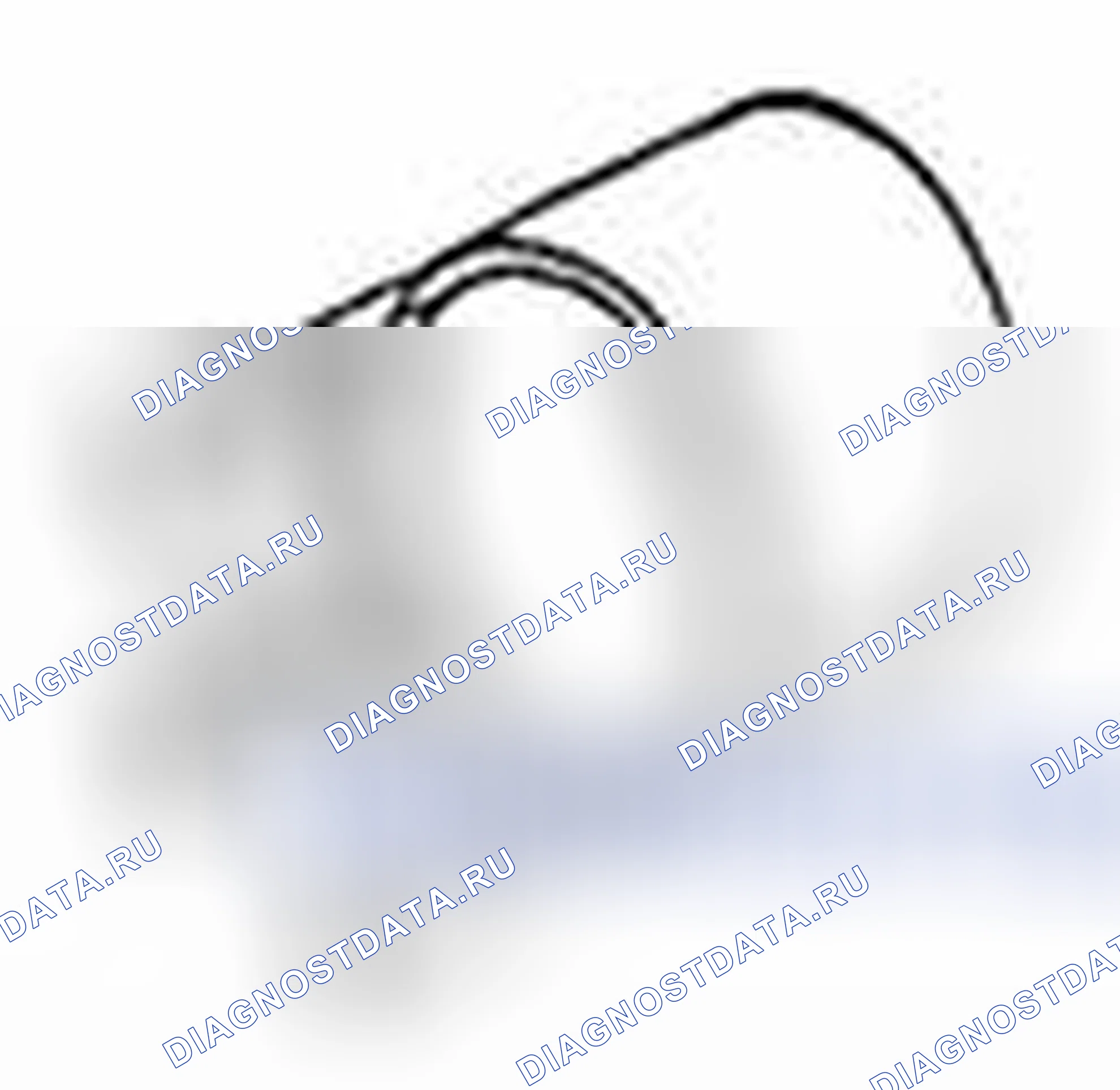 Рис. 236. Suzuki Equator I