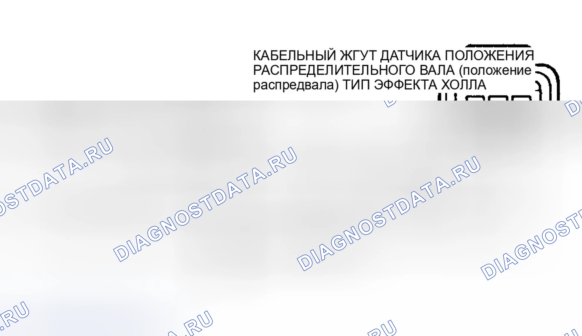 Рис. 84: Идентификация цепей положение распредвала. Ford Explorer II