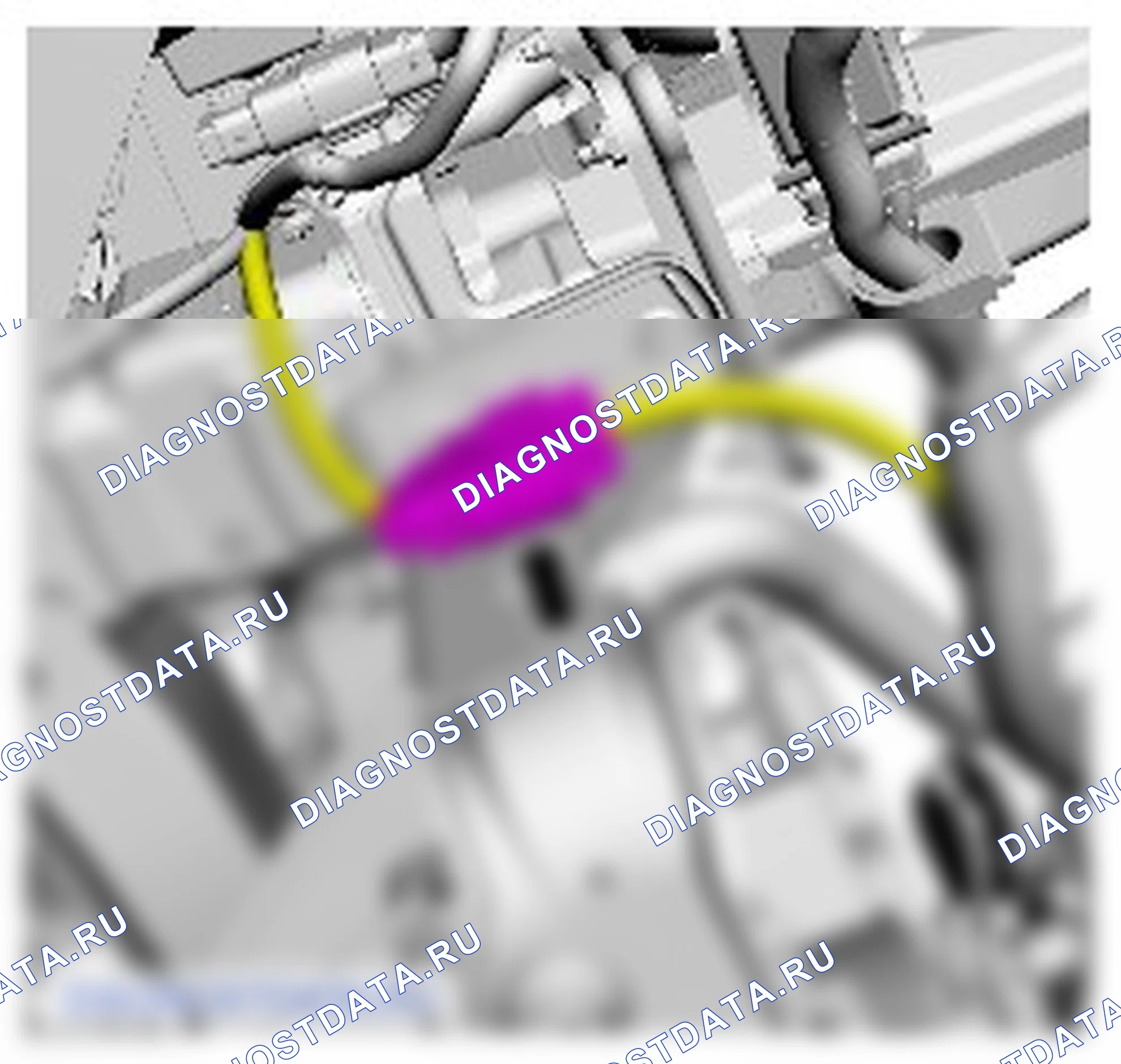 Радиатор: описание и работа. Ford EcoSport II