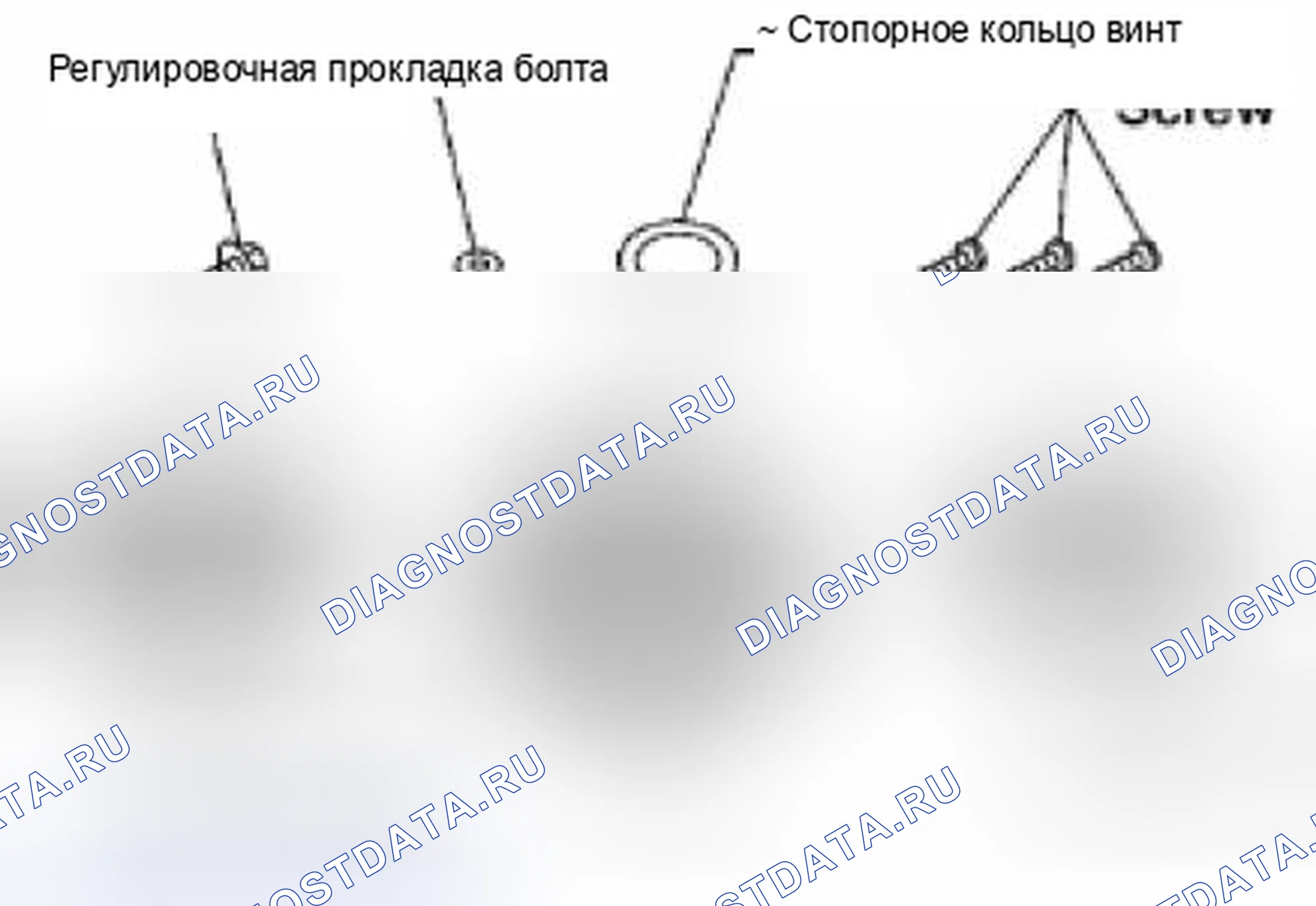 Рис. 30: Диск сцепления. Suzuki Equator I