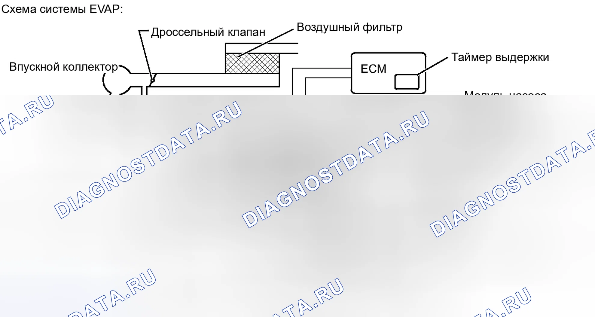 Рис. 61. Lexus IS F I