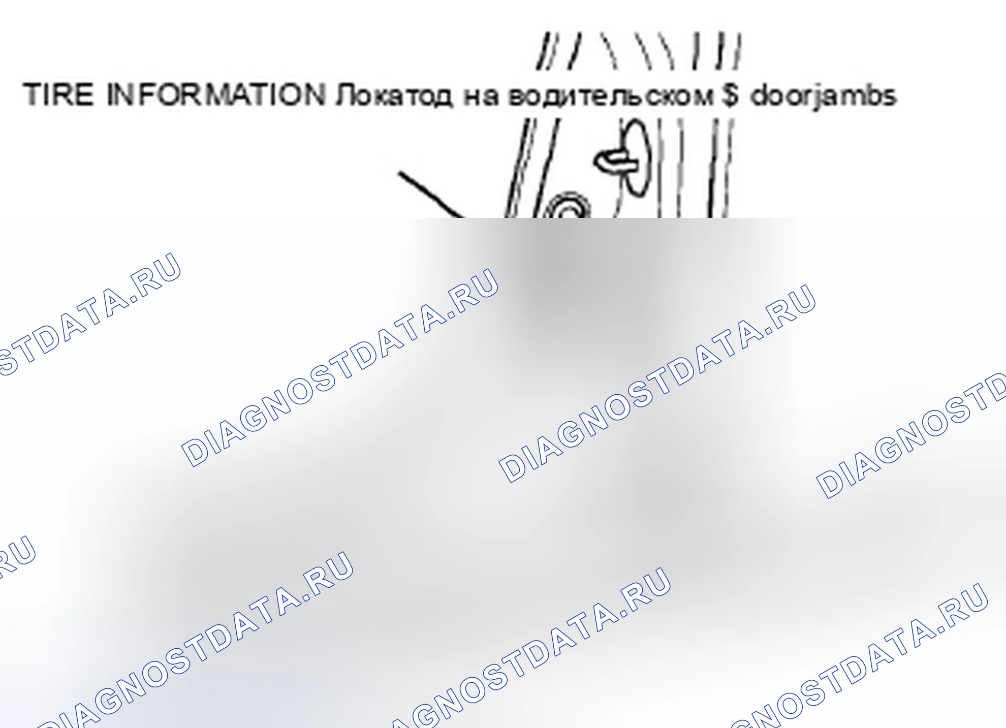 Рис. 17: Зона Doorjamb. Honda Insight ZE2 рестайлинг