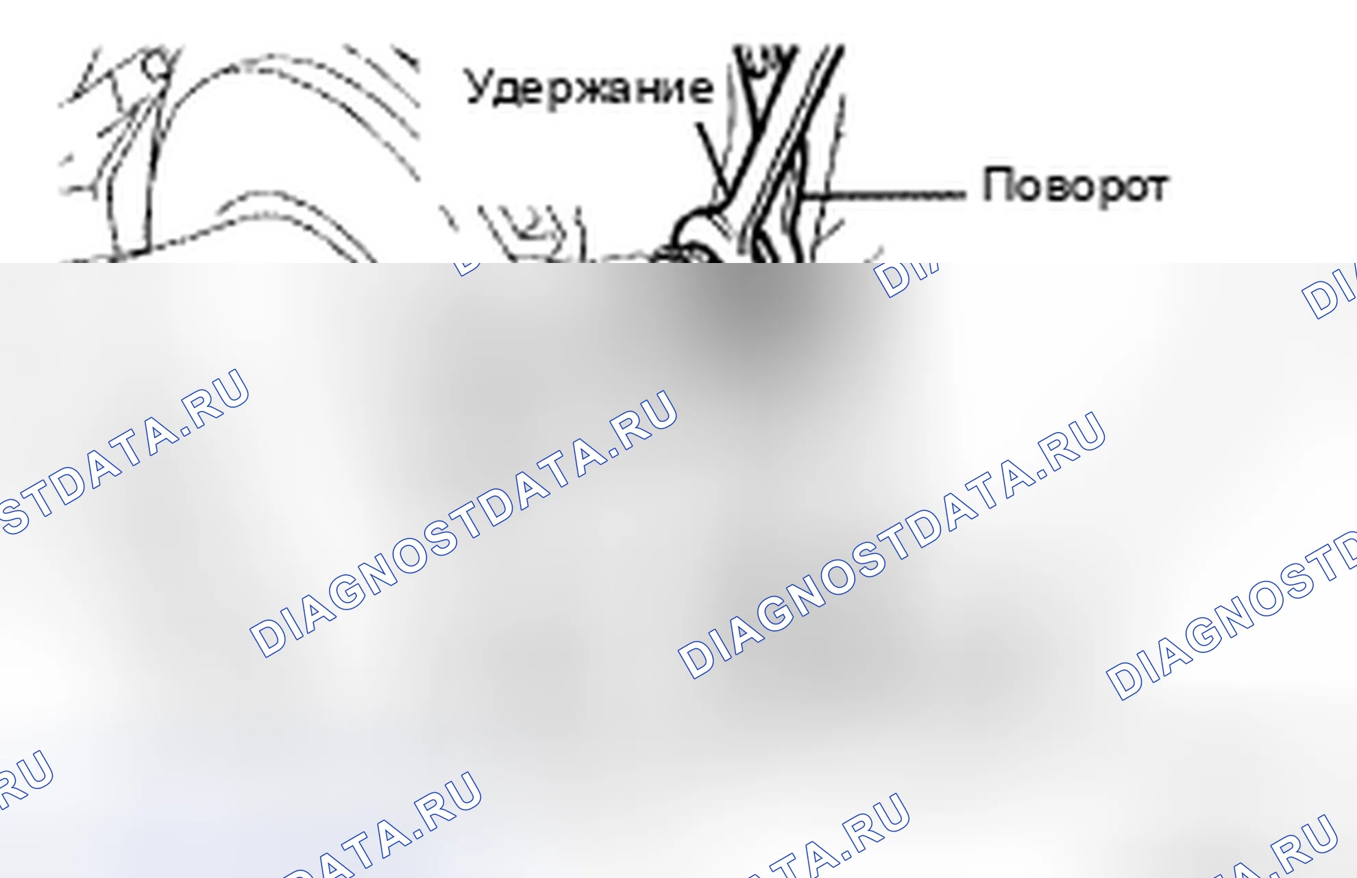 Рис. 153. Toyota Camry XV40