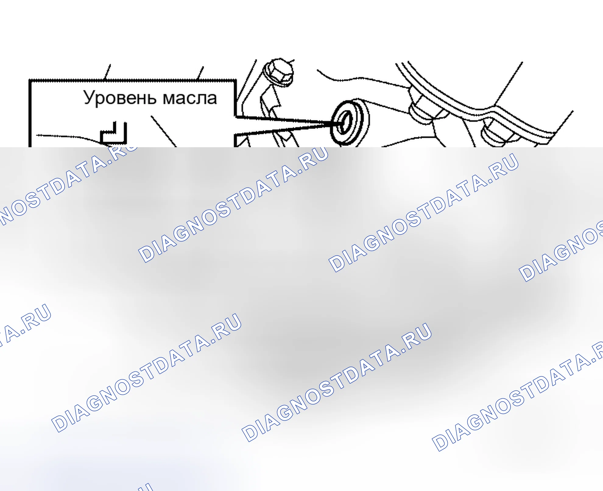 Рис. 6: УТЕЧКА МАСЛА И УРОВЕНЬ МАСЛА. Honda Odyssey I