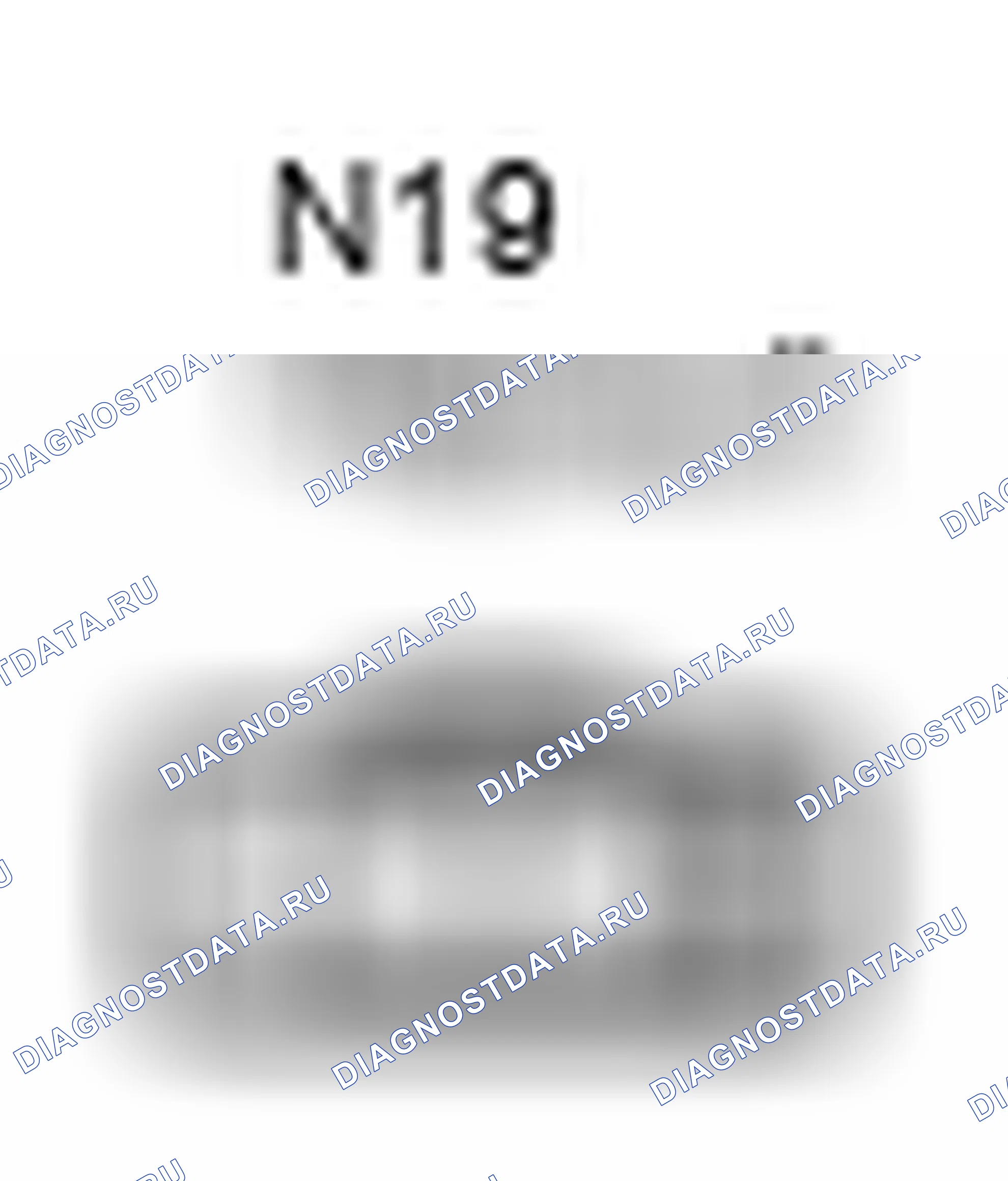 Рис. 542: Вид с торца разъема обогрев стекла заднего окна (N19). Toyota Camry XV40