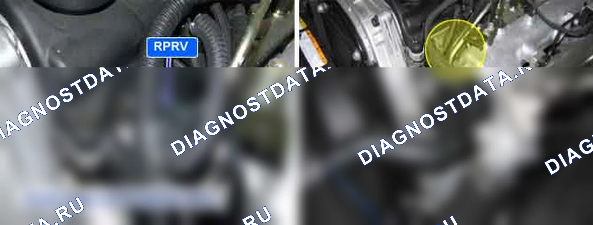 P0091: Низкий уровень в цепи управления регулятора давления топлива 1. Kia Sorento BL
