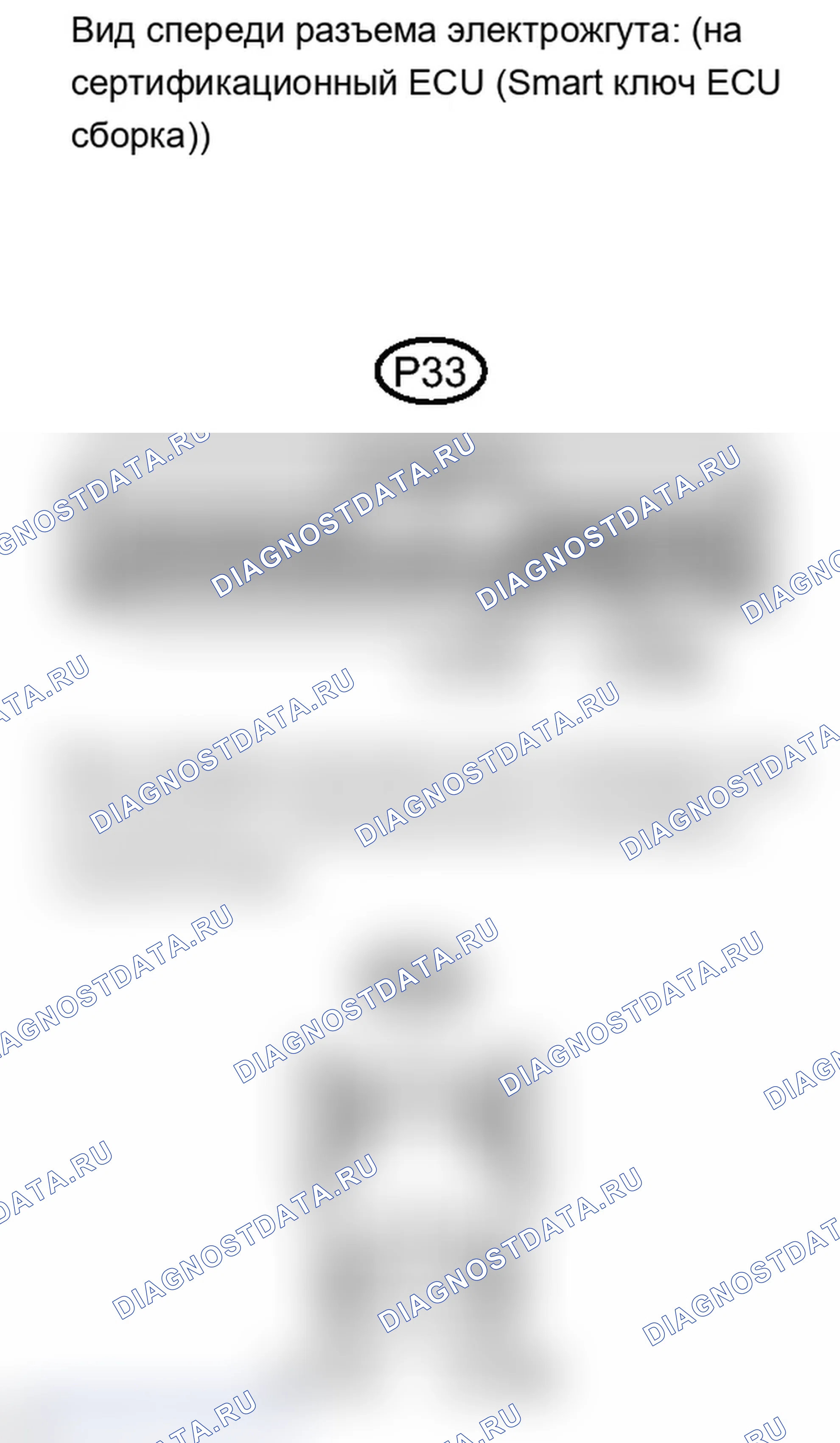 Рис. 269. Lexus IS F I