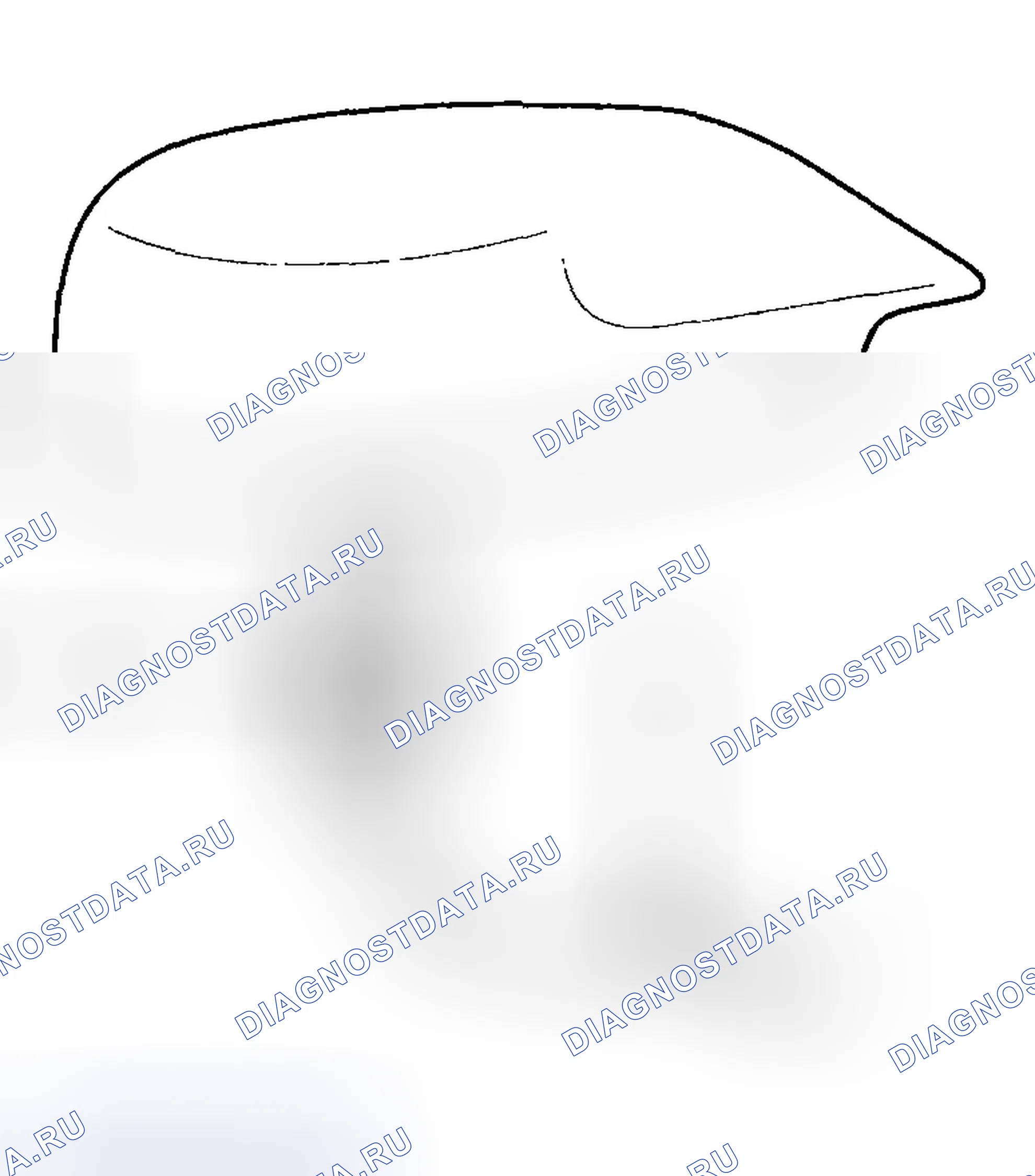 Рис. 24. Hyundai Elantra III рестайлинг