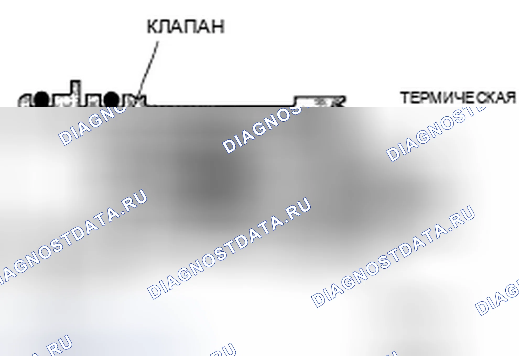 Рис. 883: Запорный клапан вентиляции канистры EVAP. Honda Accord VII рестайлинг