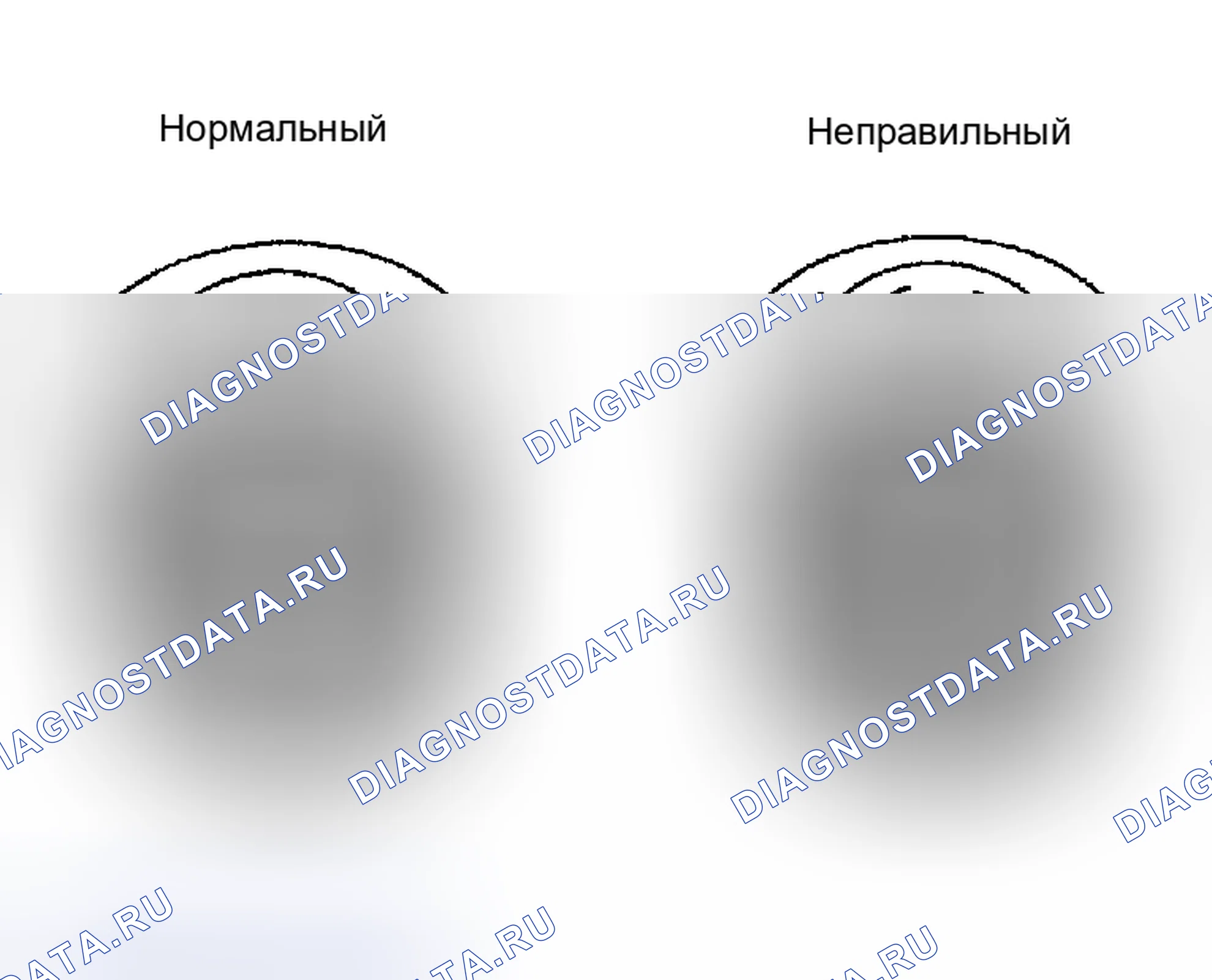 Рис. 4. Honda Accord II