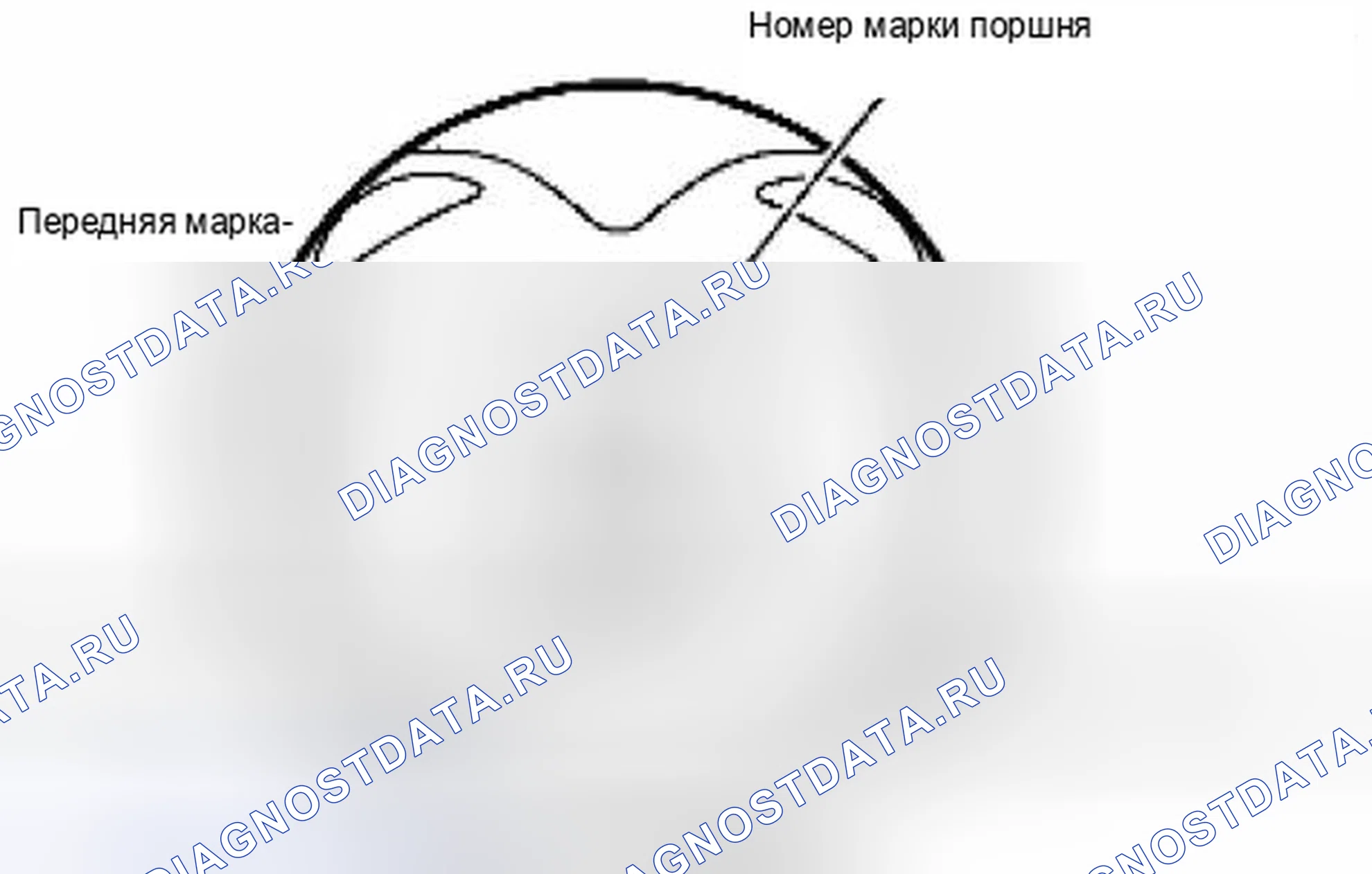 Рис. 7. Suzuki Equator I