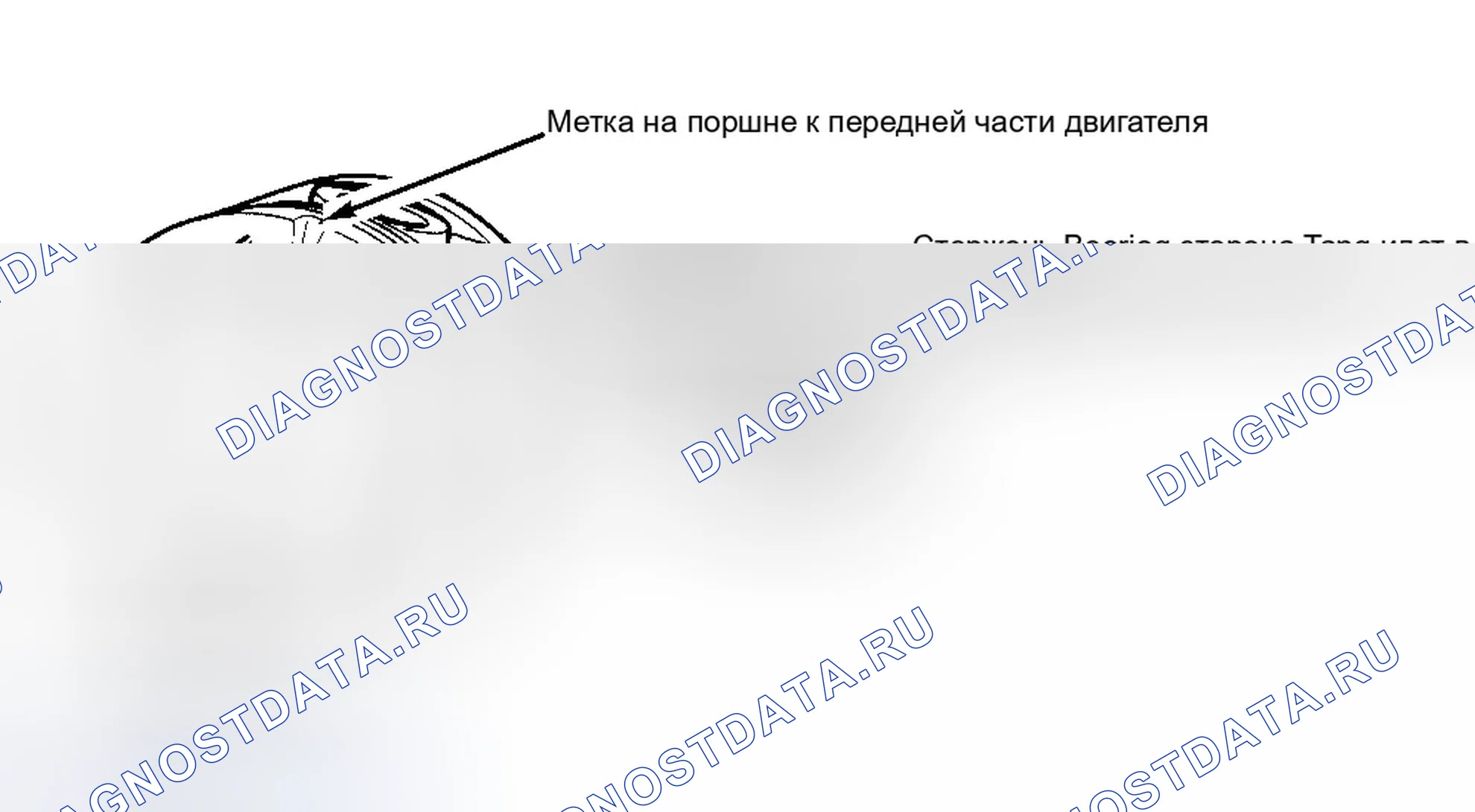 Рис. 34: Узел поршня и штока. Ford Cab & Chassis F350 