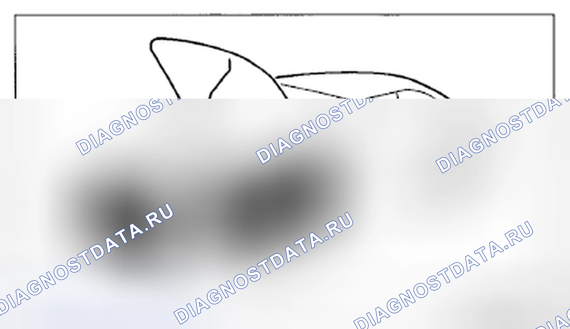 Рис. 23: Защита транспортного средства. Honda CR-V IV рестайлинг