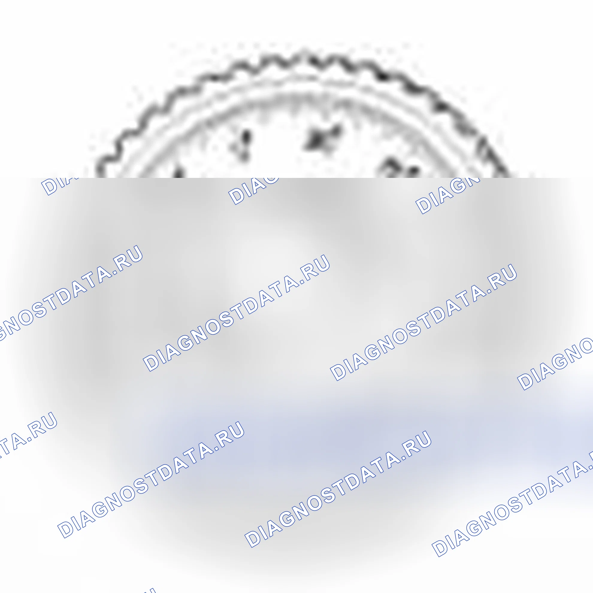Рис. 65. Haval Beast (Shenshou) I