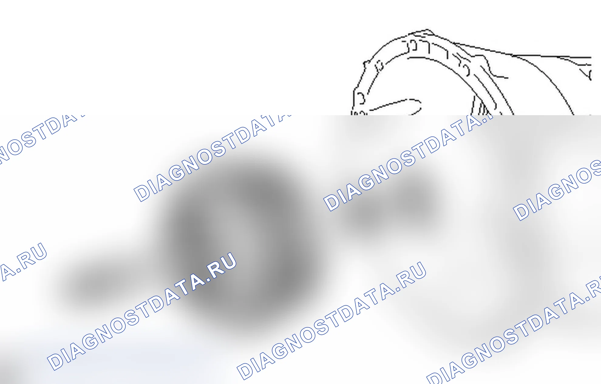 Рис. 214. Lexus IS F I