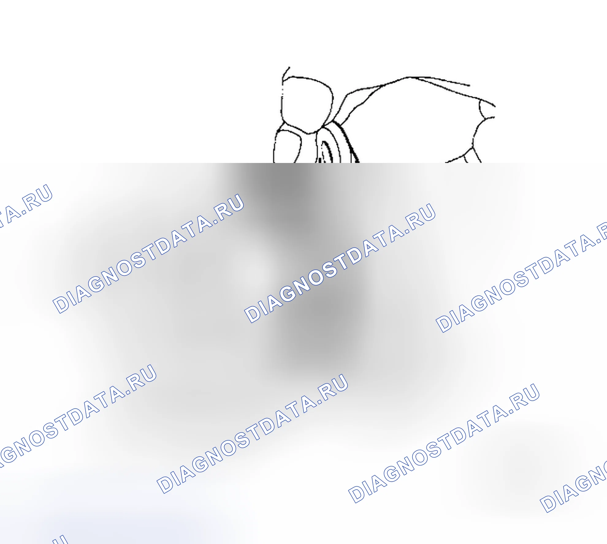 Рис. 15. Honda Odyssey I