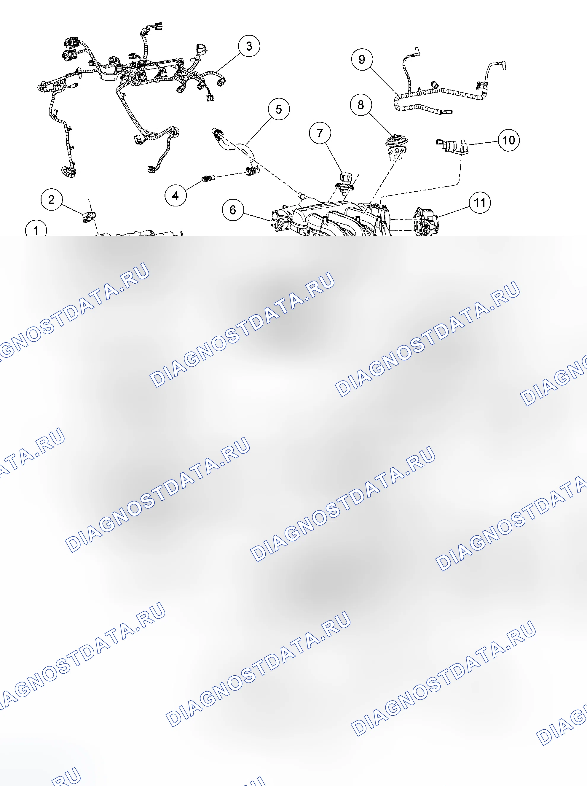 Рис. 316. Ford Escape I рестайлинг