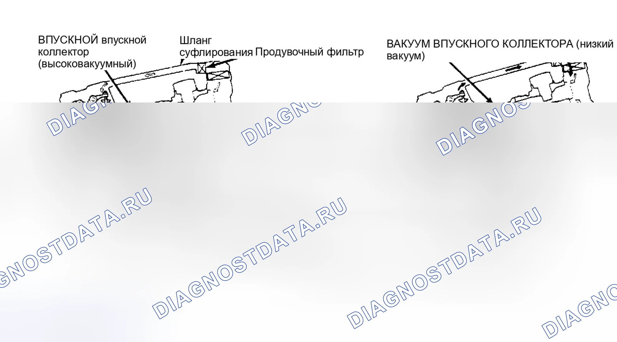 Рис. 2: Система вентиляции картера (прелюдия). Honda Accord I