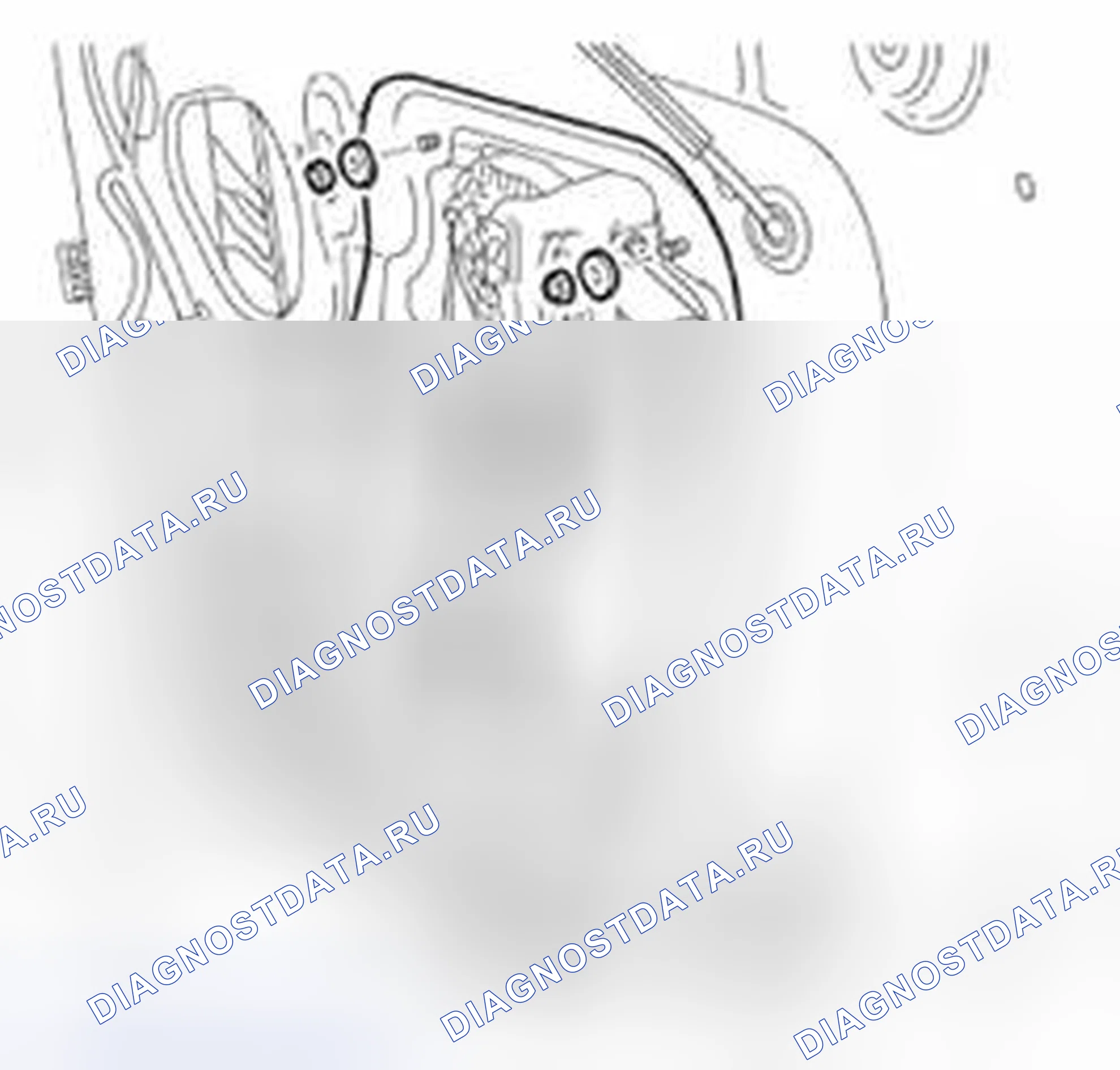 Рис. 18. Land Rover Range Rover Sport L320