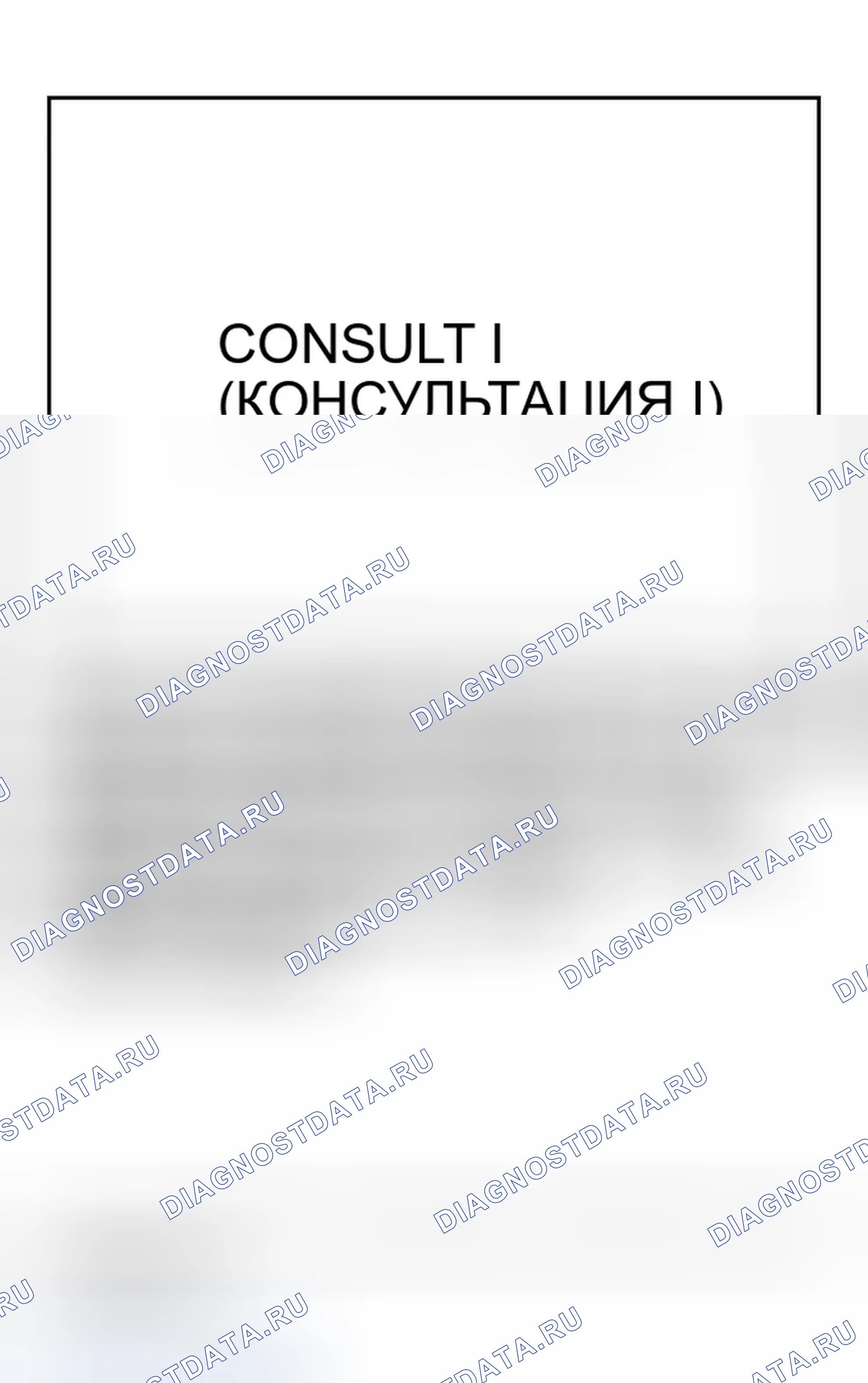 Рис. 2. Infiniti G35 III