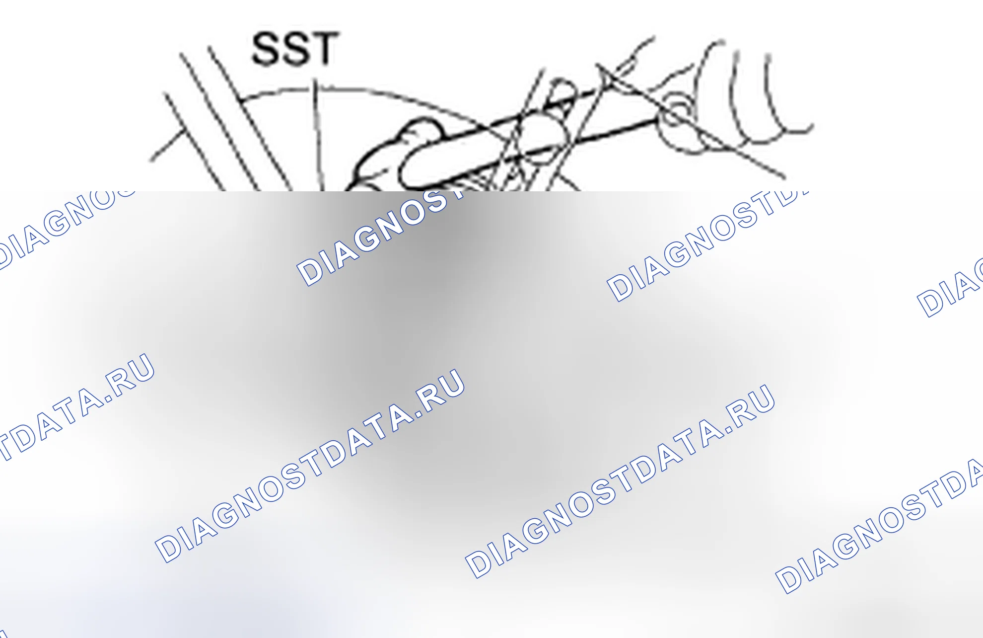 Рис. 37. Toyota Sienna II рестайлинг