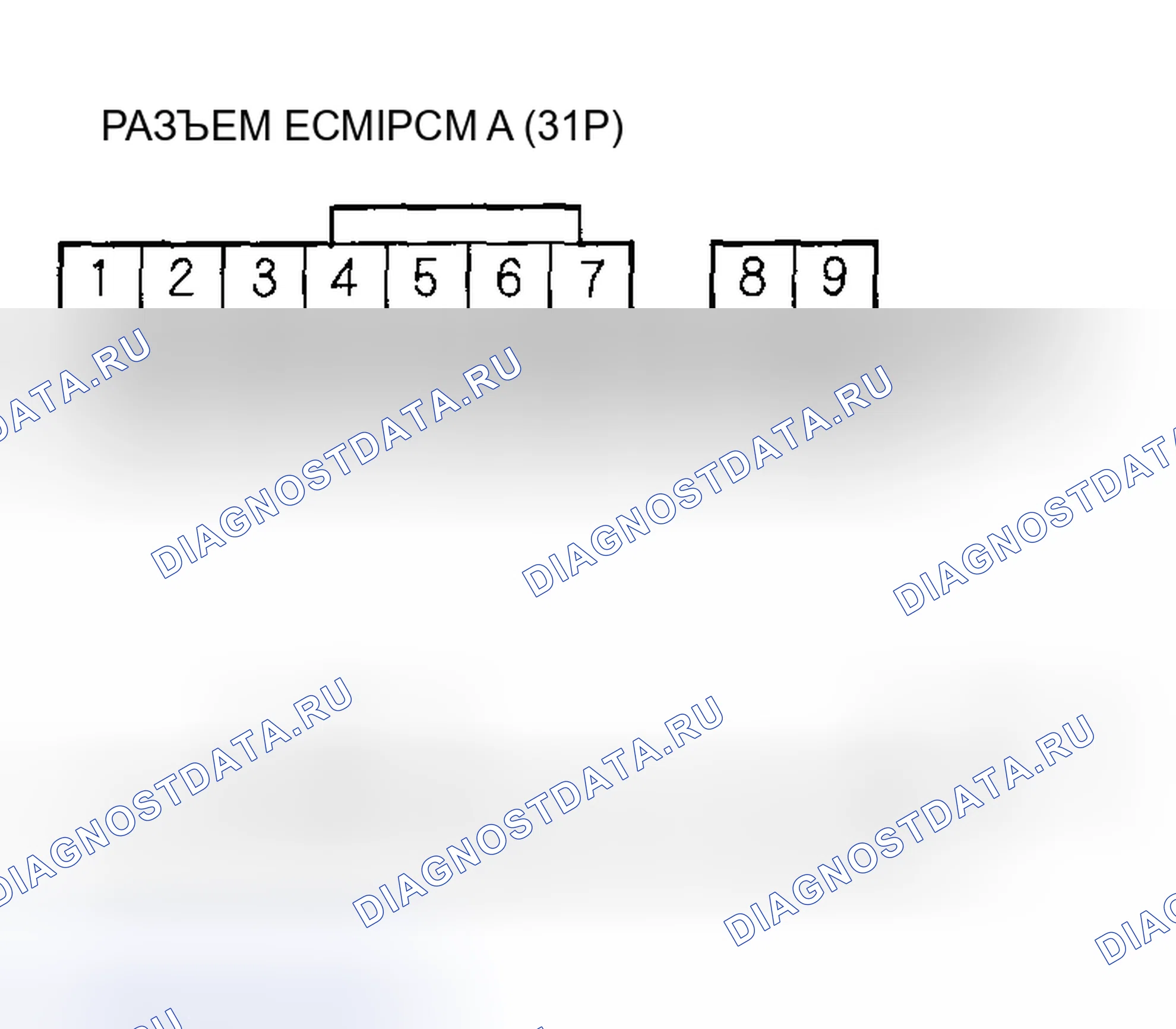 Рис. 205. Acura RSX I