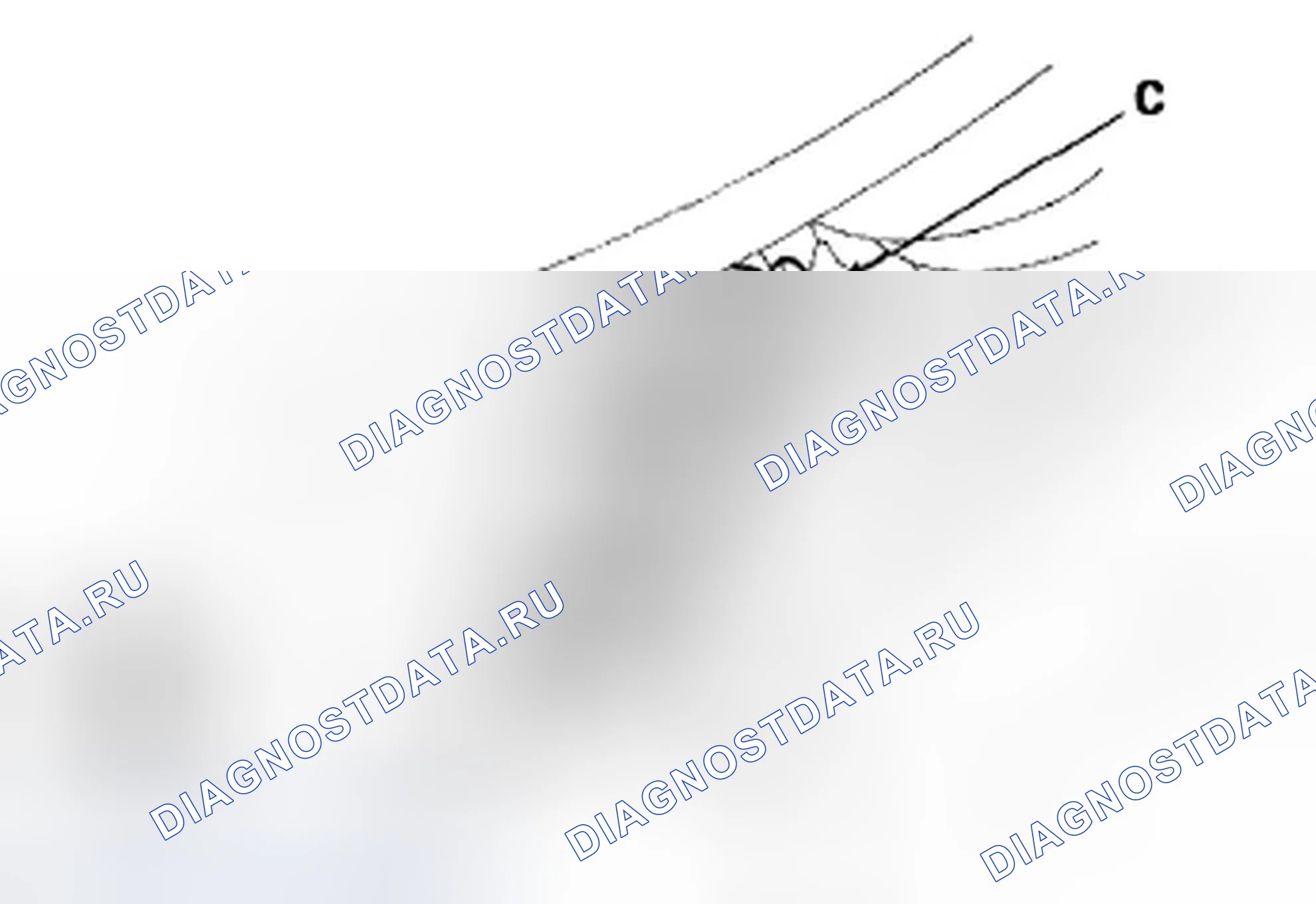 Рис. 37. Honda S2000 AP1