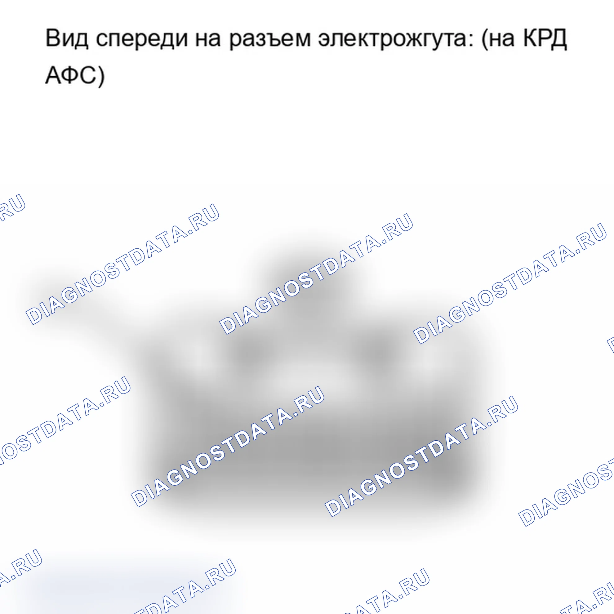 Рис. 246. Lexus IS F I