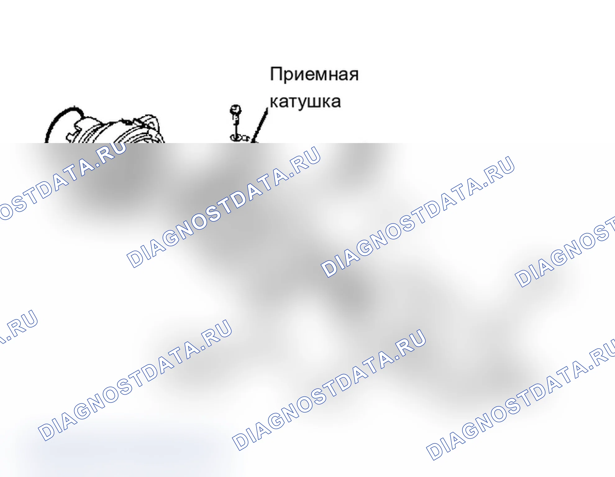 Дефекты и повреждение лакокрасочного покрытия: описание и работа. Ford B-MAX I
