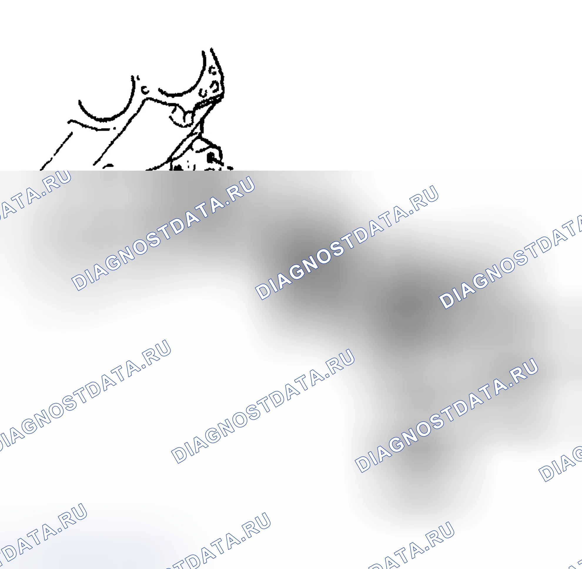 Рис. 596: Адаптер масляного фильтра - Установка. Chevrolet Impala VIII
