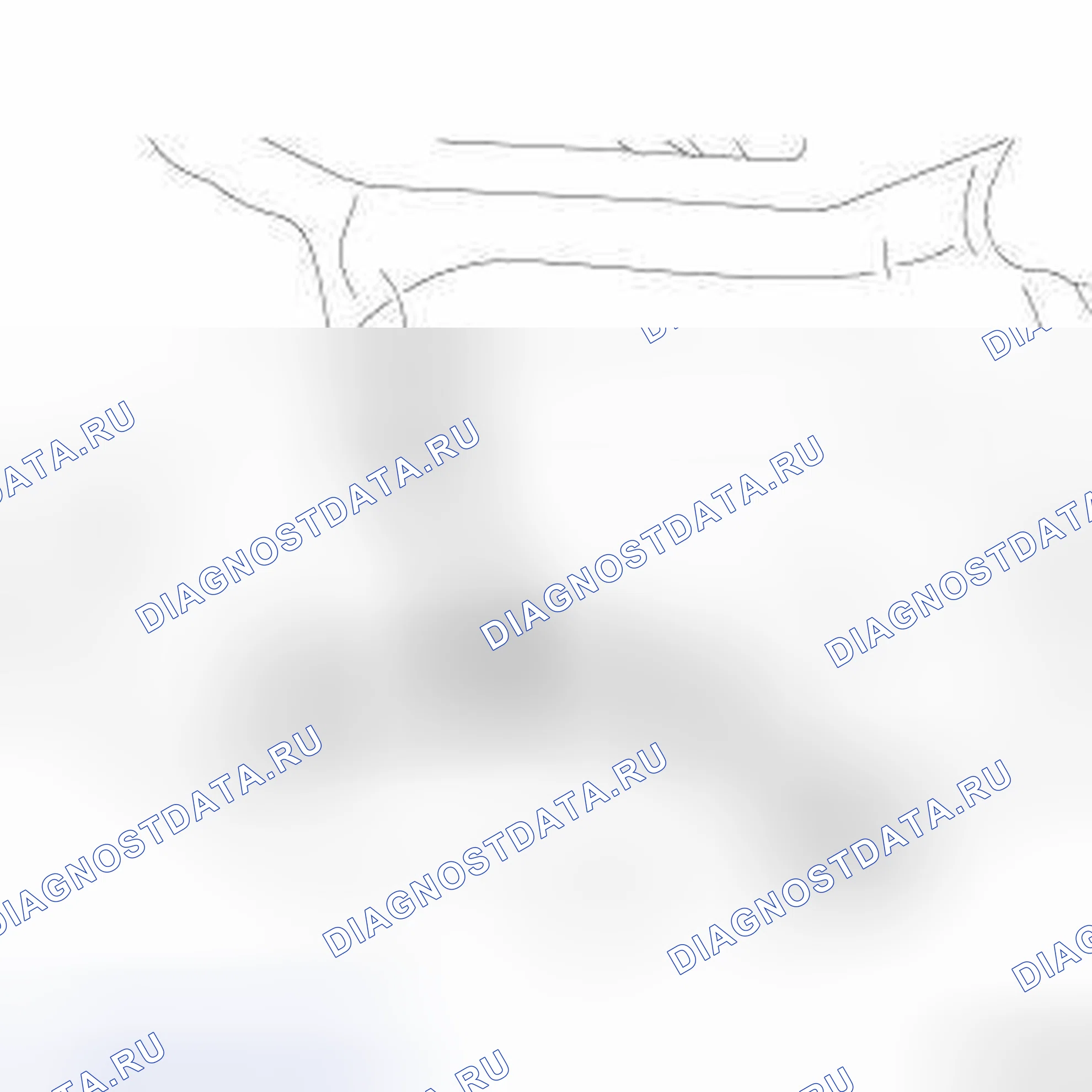 Рис. 76. Dodge Cab & Chassis R3500 HD final