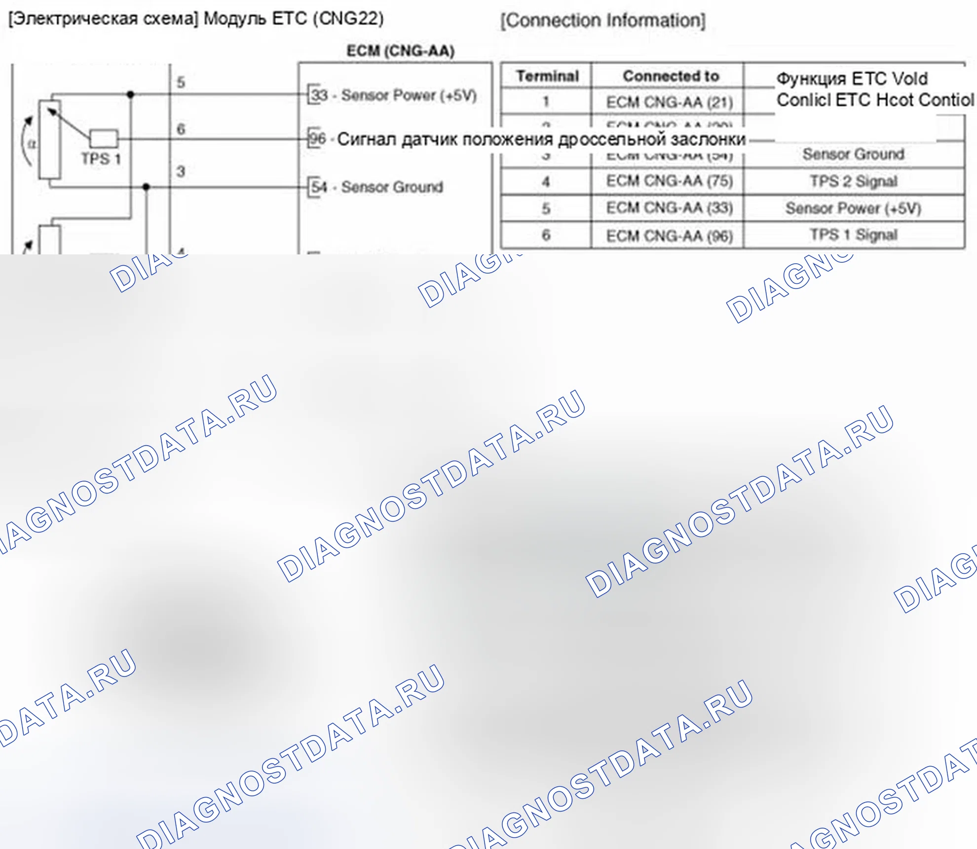 Рис. 6: (A / T). Hyundai Elantra V