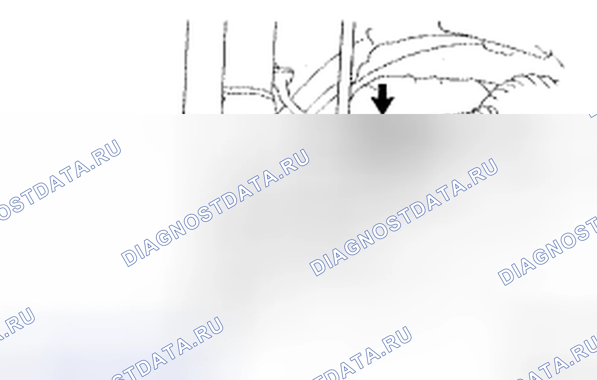 Рис. 6. Haval H5 II