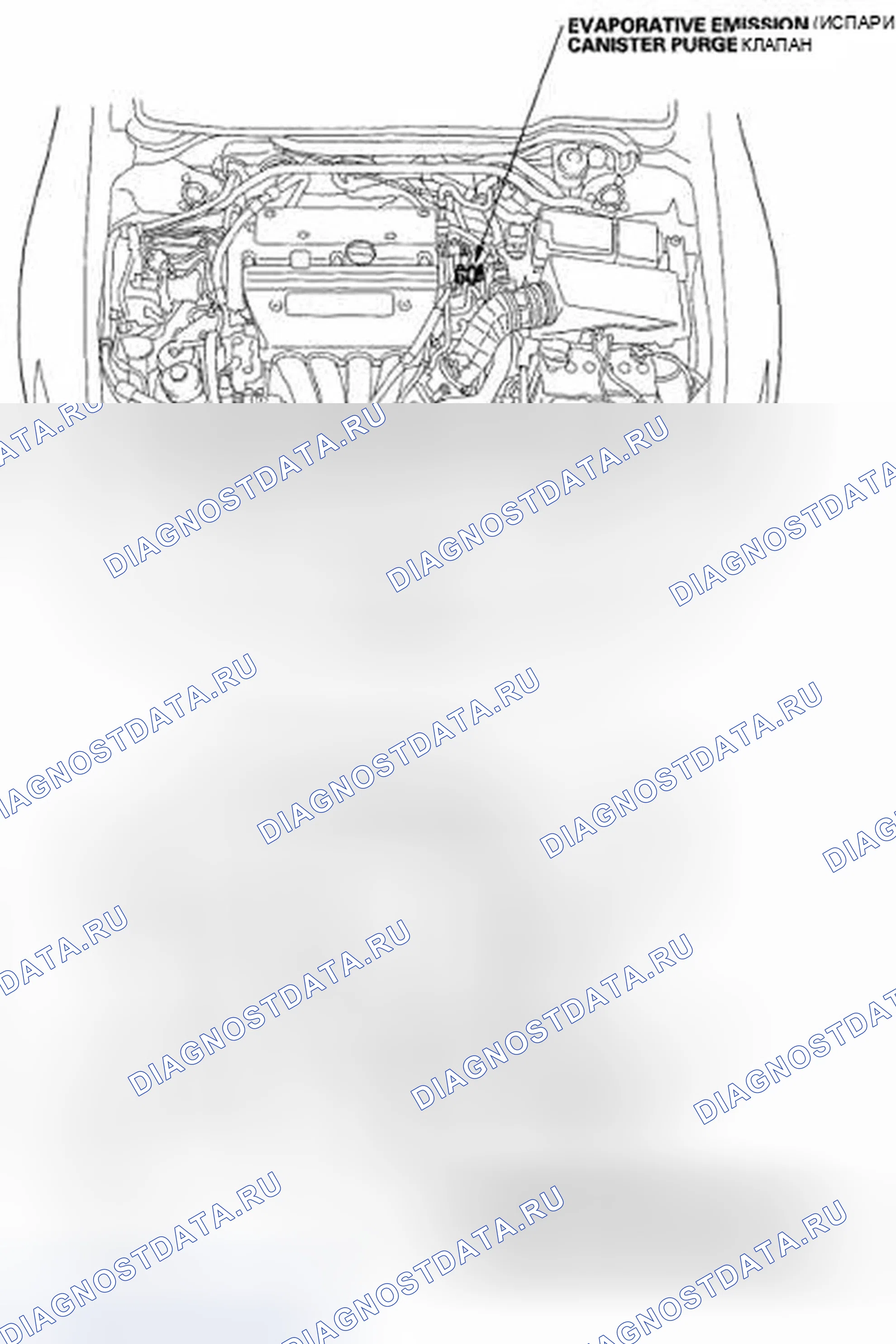 Рис. 59: Указатель расположения компонентов. Acura TSX I