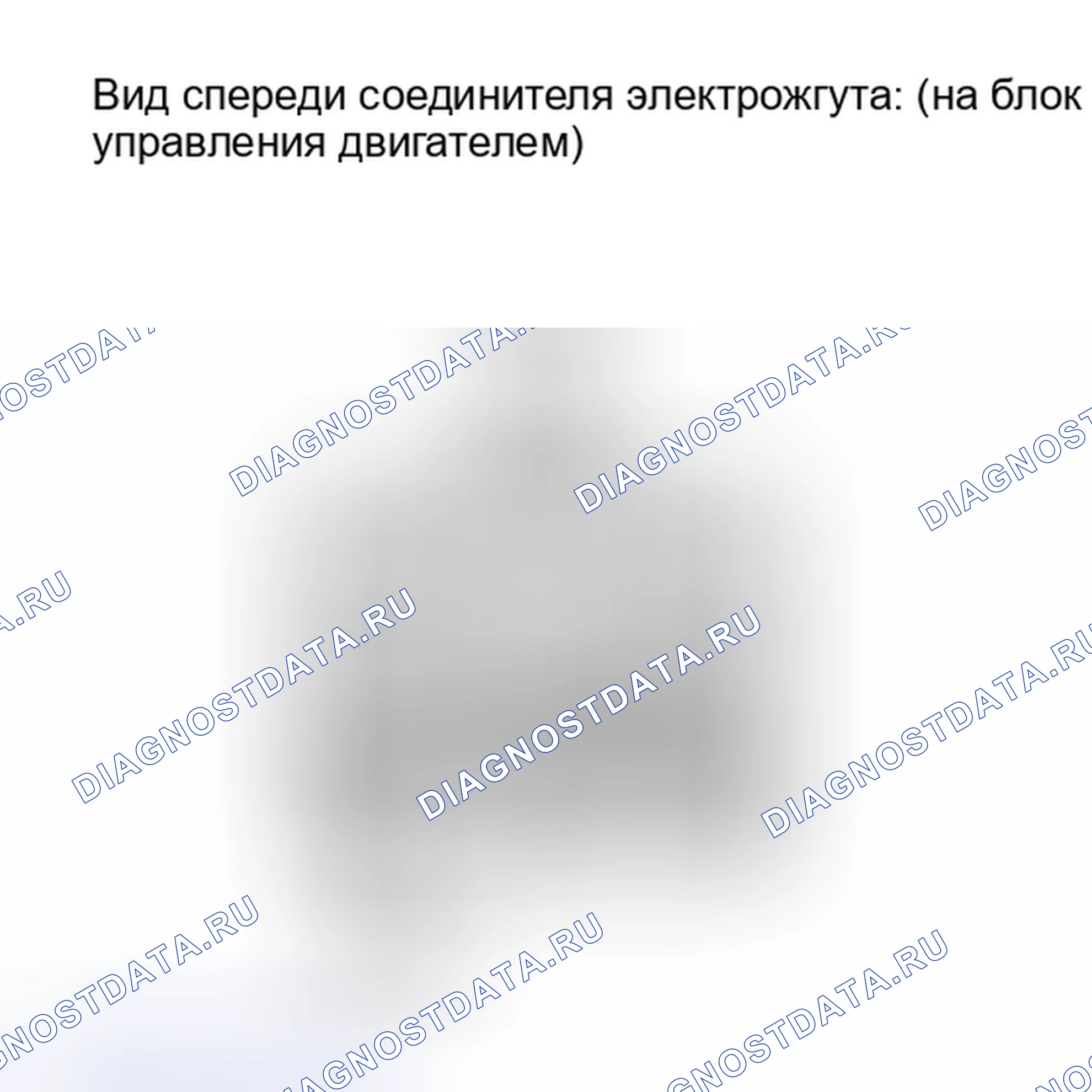 Рис. 89. Lexus IS F I