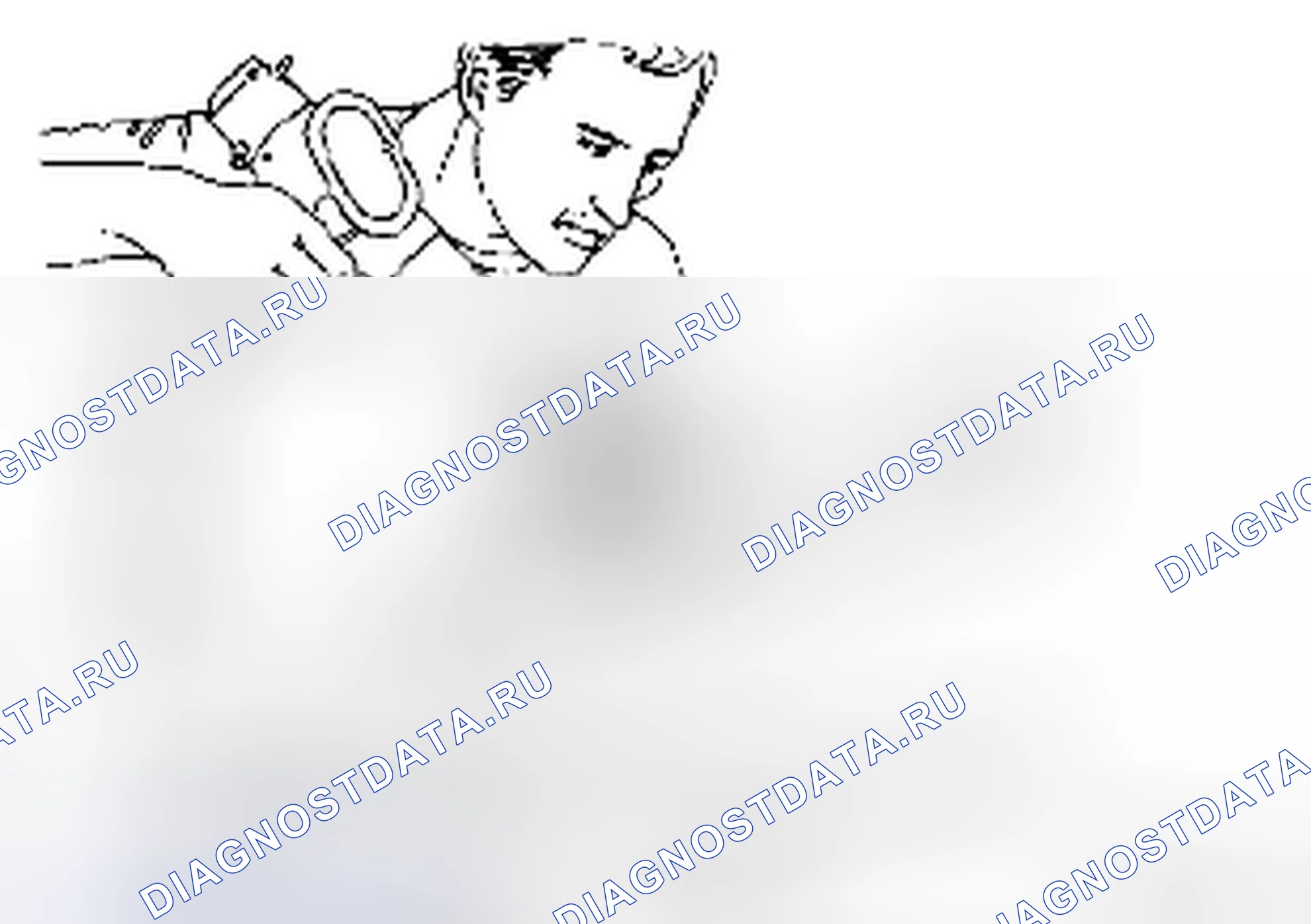 Рис. 19. Suzuki Forenza I