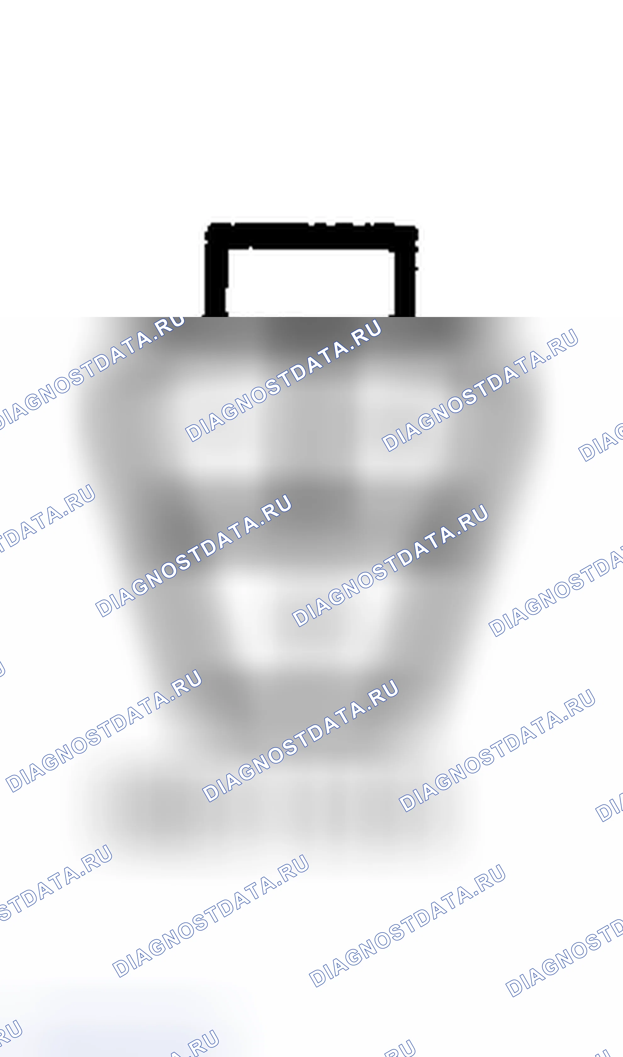 Рис. 11. Nissan Maxima A32